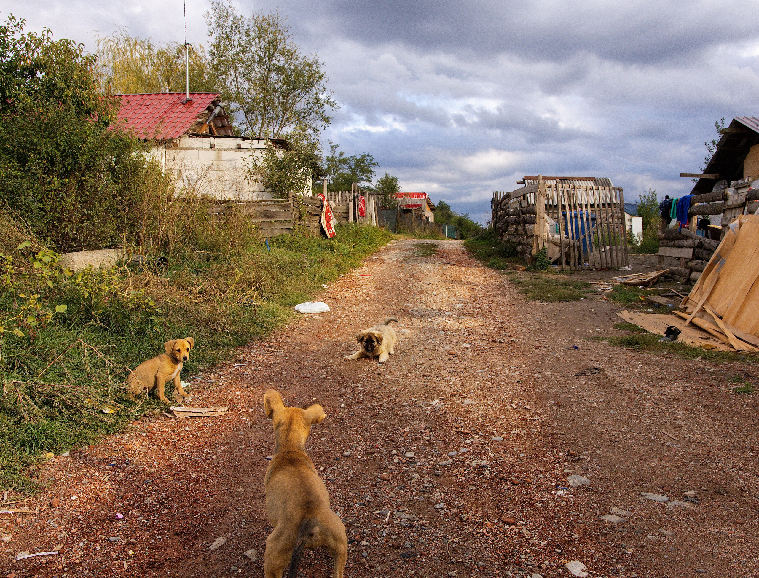 Între două lumi - între origine și influență. Fotograf Mariana Roth