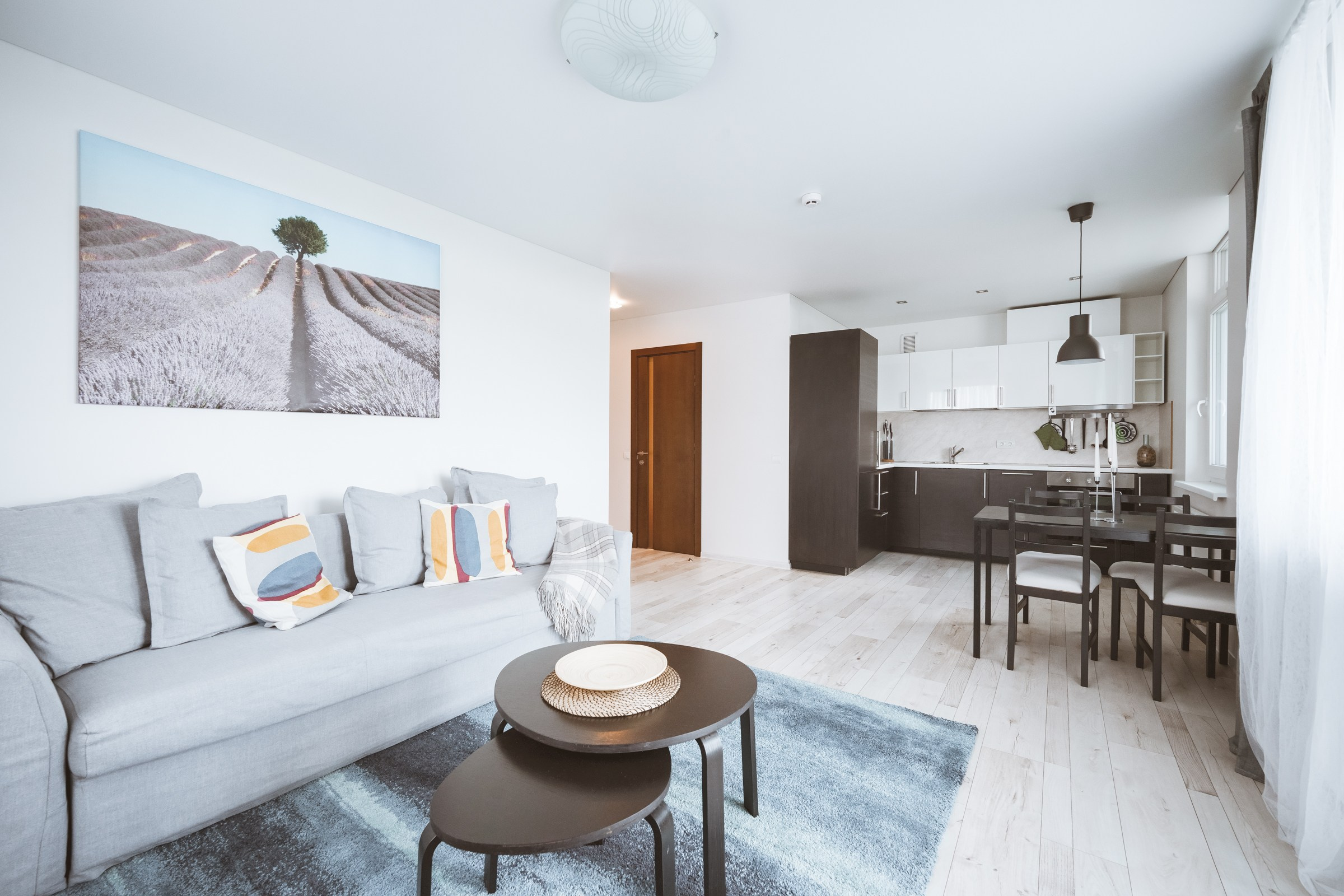 Eitminų g. 12. Elina Sapiega fotografė Vilniuje