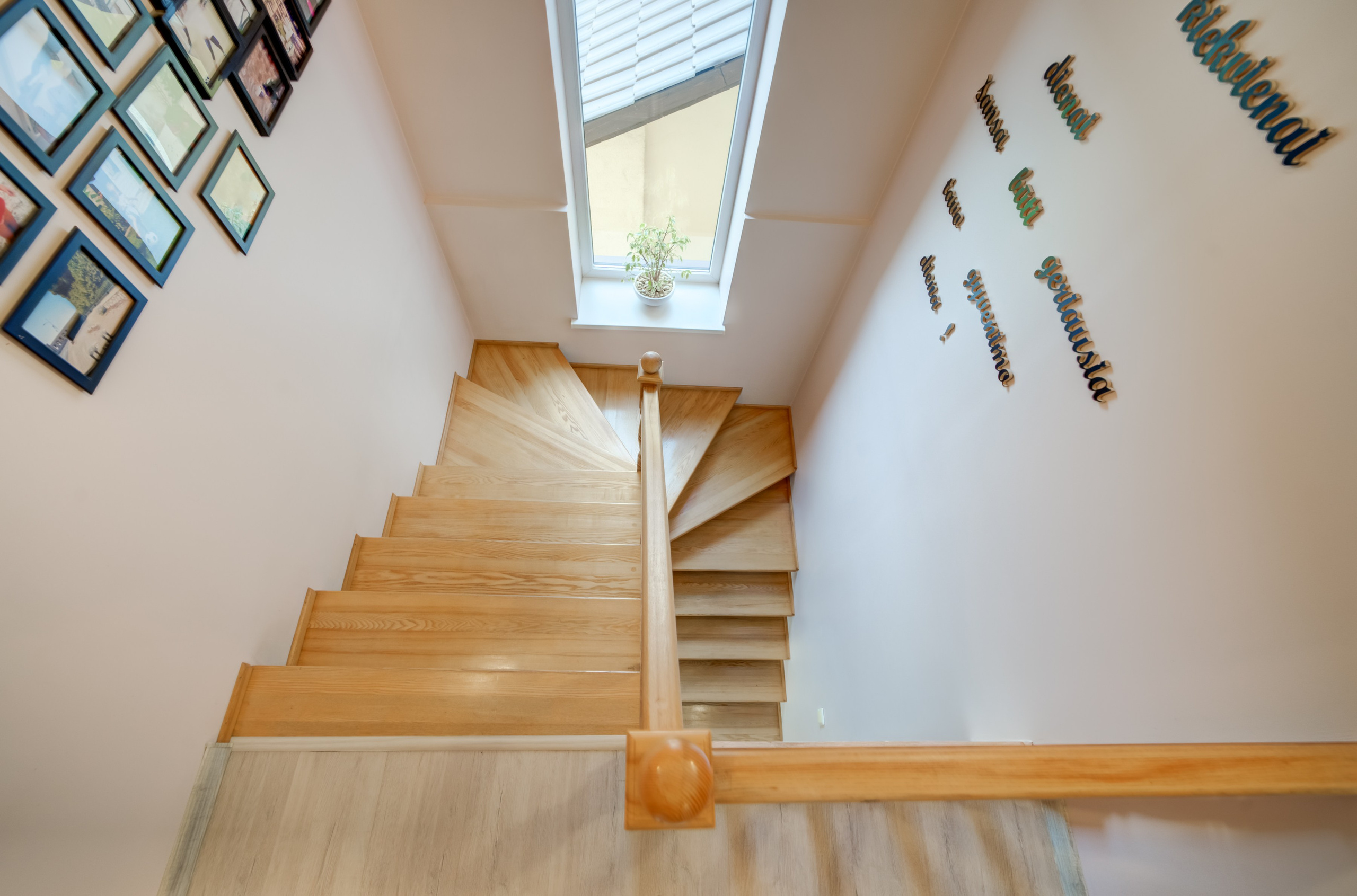 Korių g. 34, Vilnius. Elina Sapiega fotografė Vilniuje