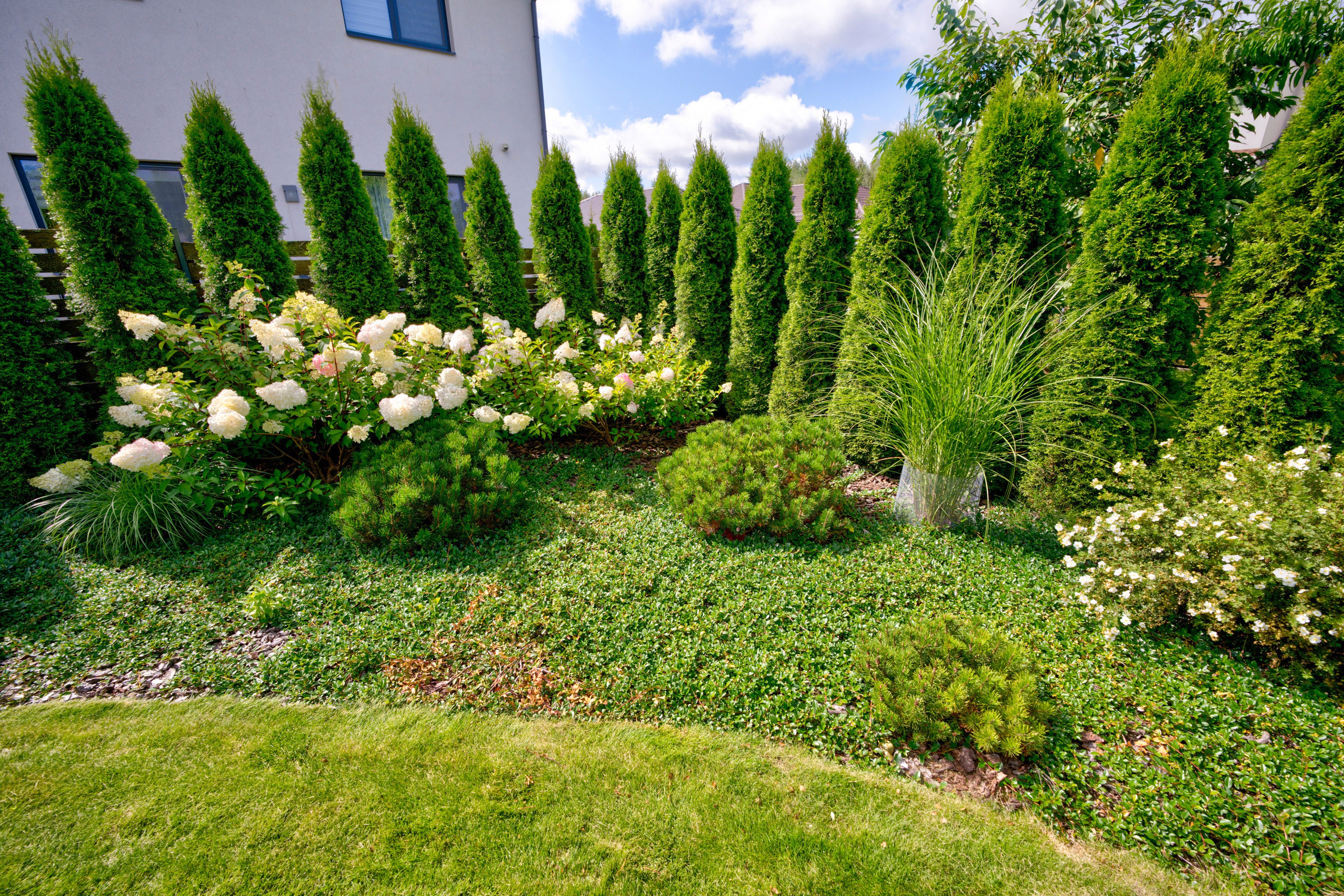 M. Krupavičiaus g. 18. Elina Sapiega fotografė Vilniuje