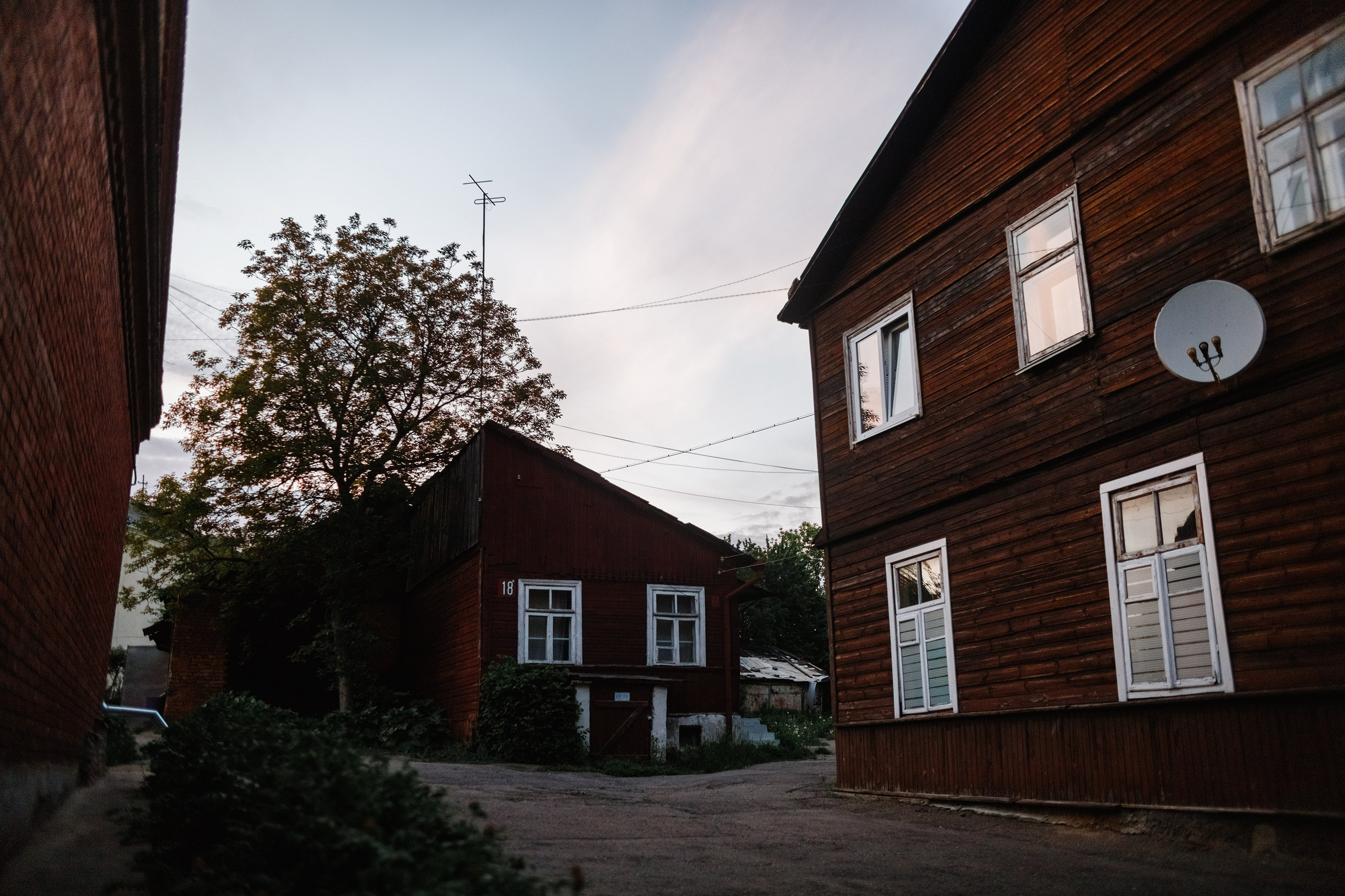 Grodno. Kaja | fotograf we Wrocławiu | ludzie i psy