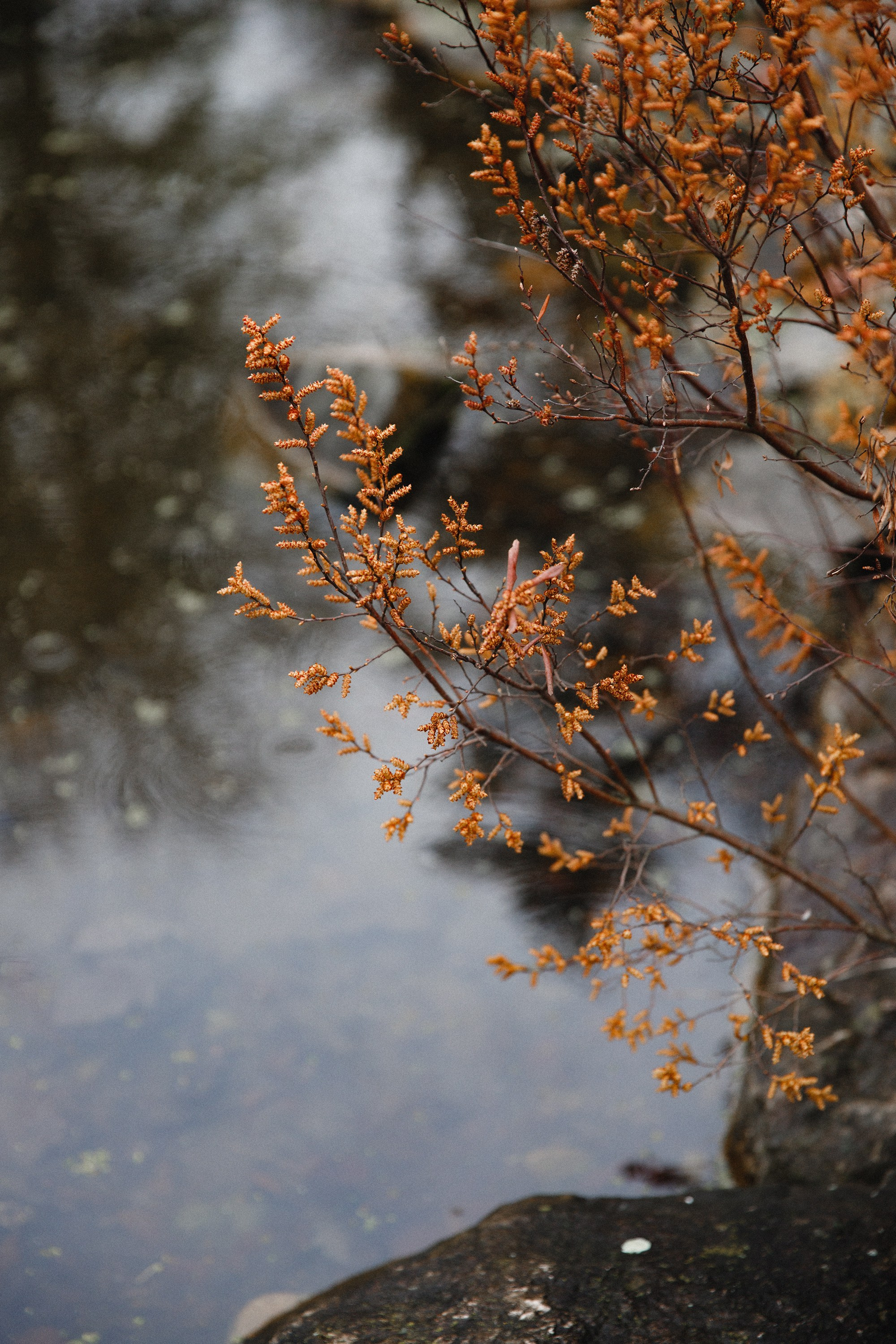Botanical garden in Wroclaw. Kaja | fotograf we Wrocławiu | ludzie i psy