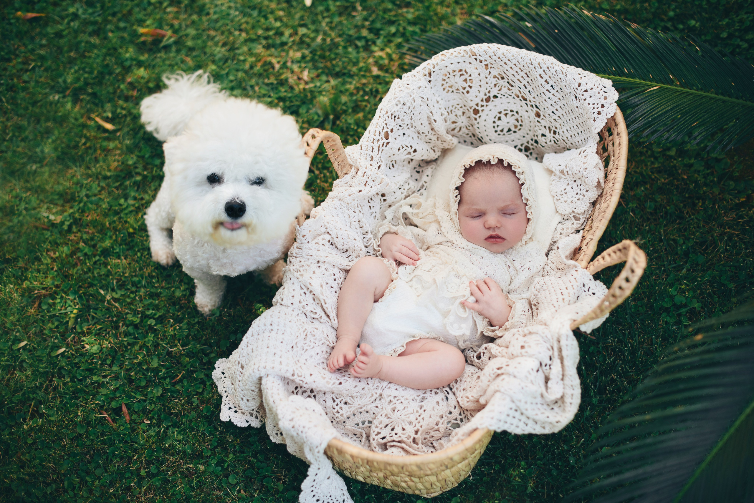 Naturaleza. Https://newbornphoto.wfolio.pro/me