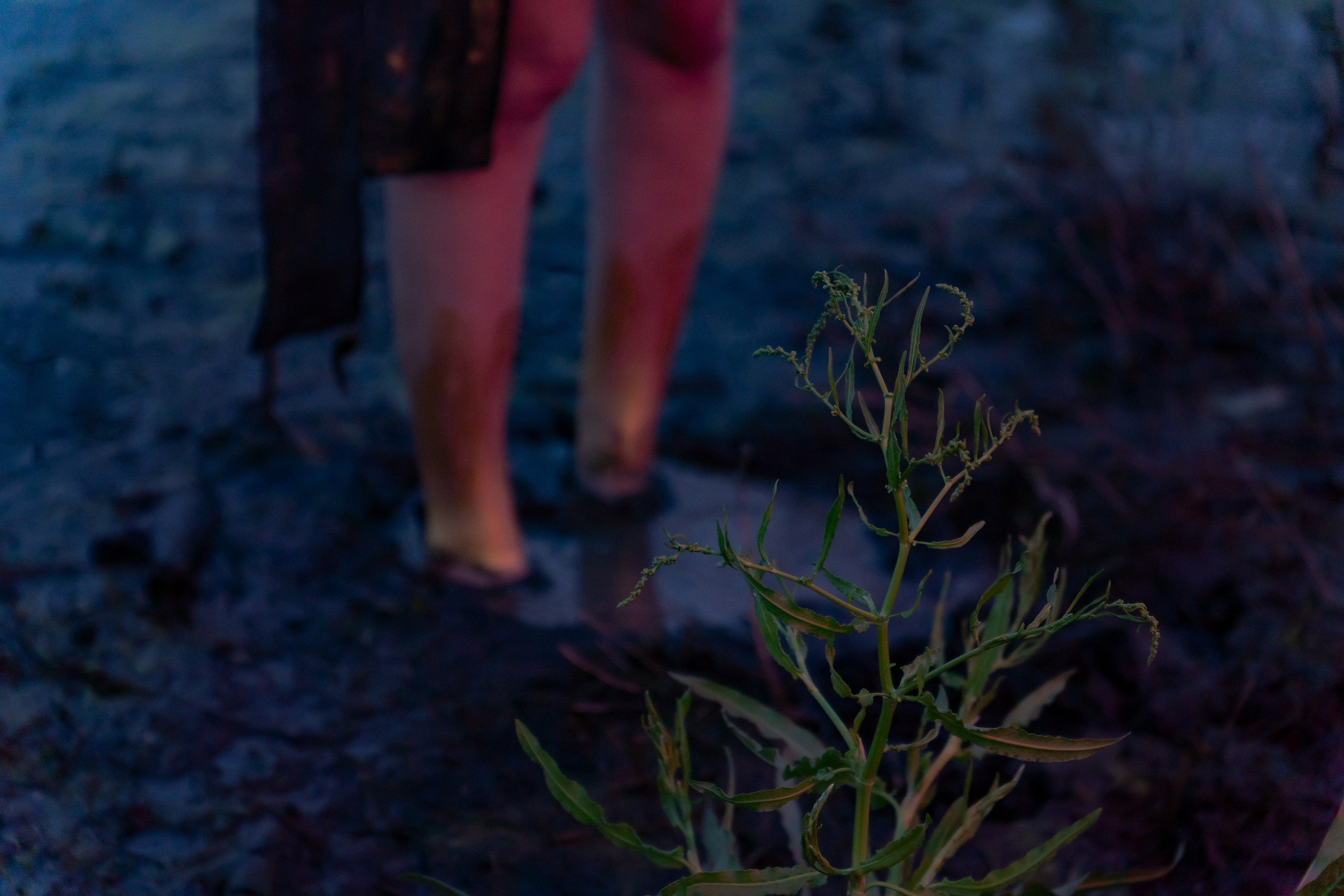 Dayana. Art and outdoor photography