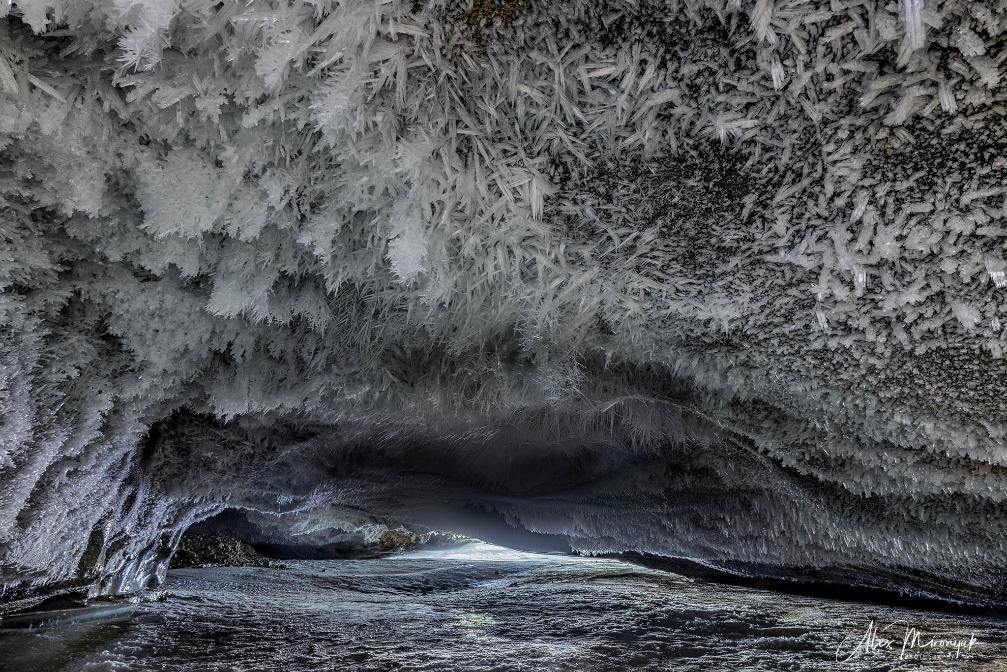 Chasing the Aurora Borealis. Pet, Senior, Landscape, portrait studio, photographer in Miami and Sou