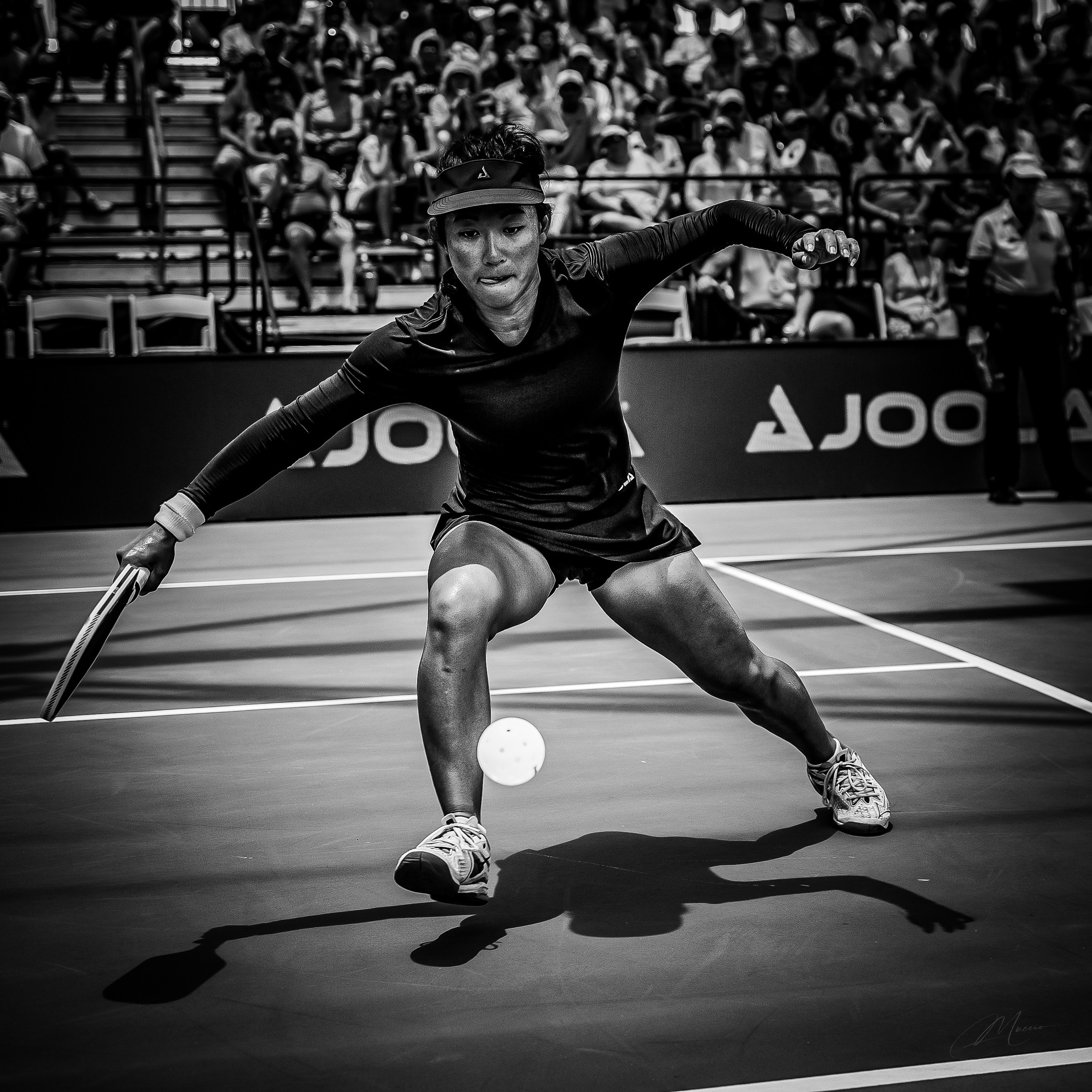 Sports Noir. Out and About 239