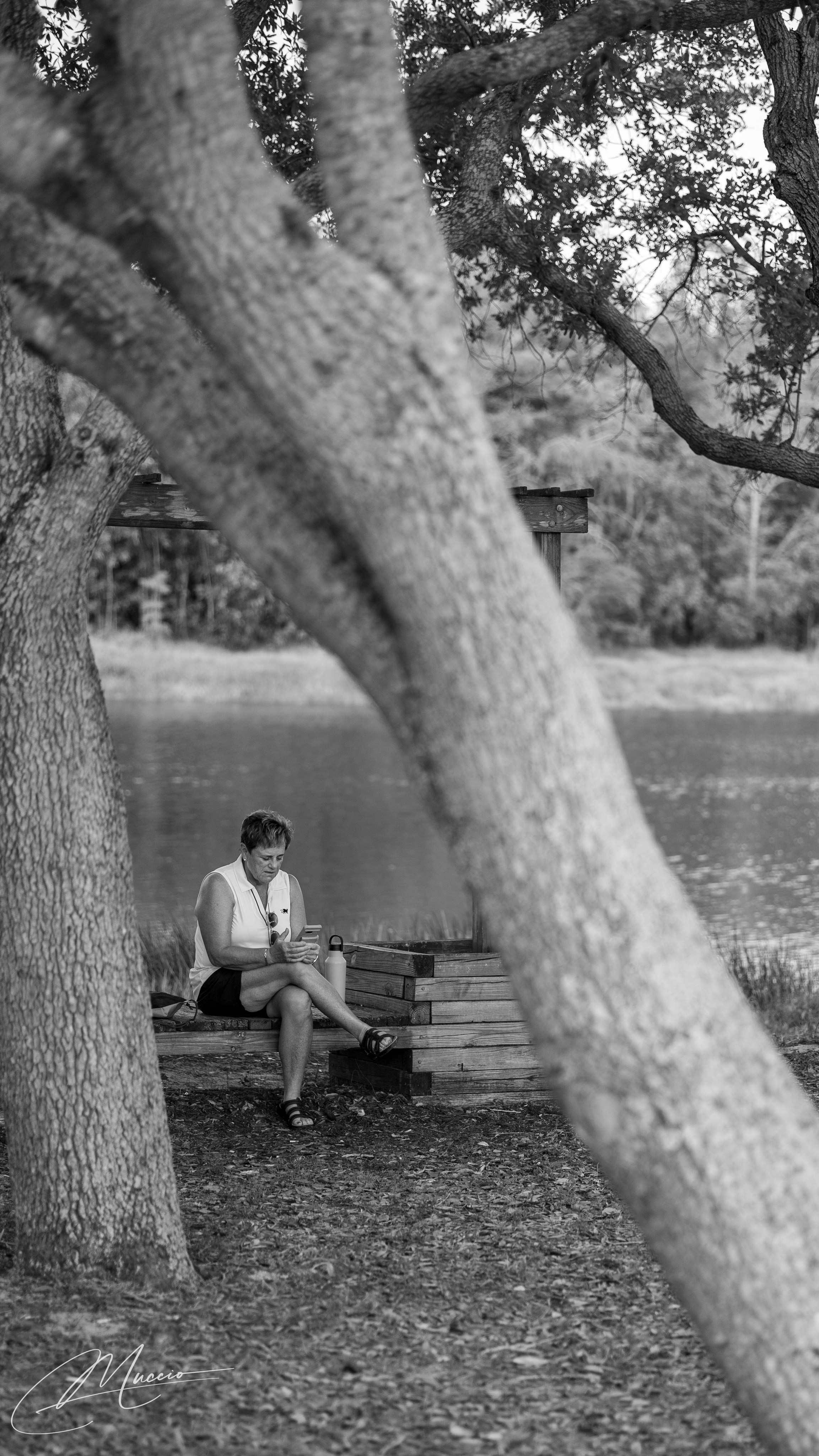 Black and White. Out and About 239