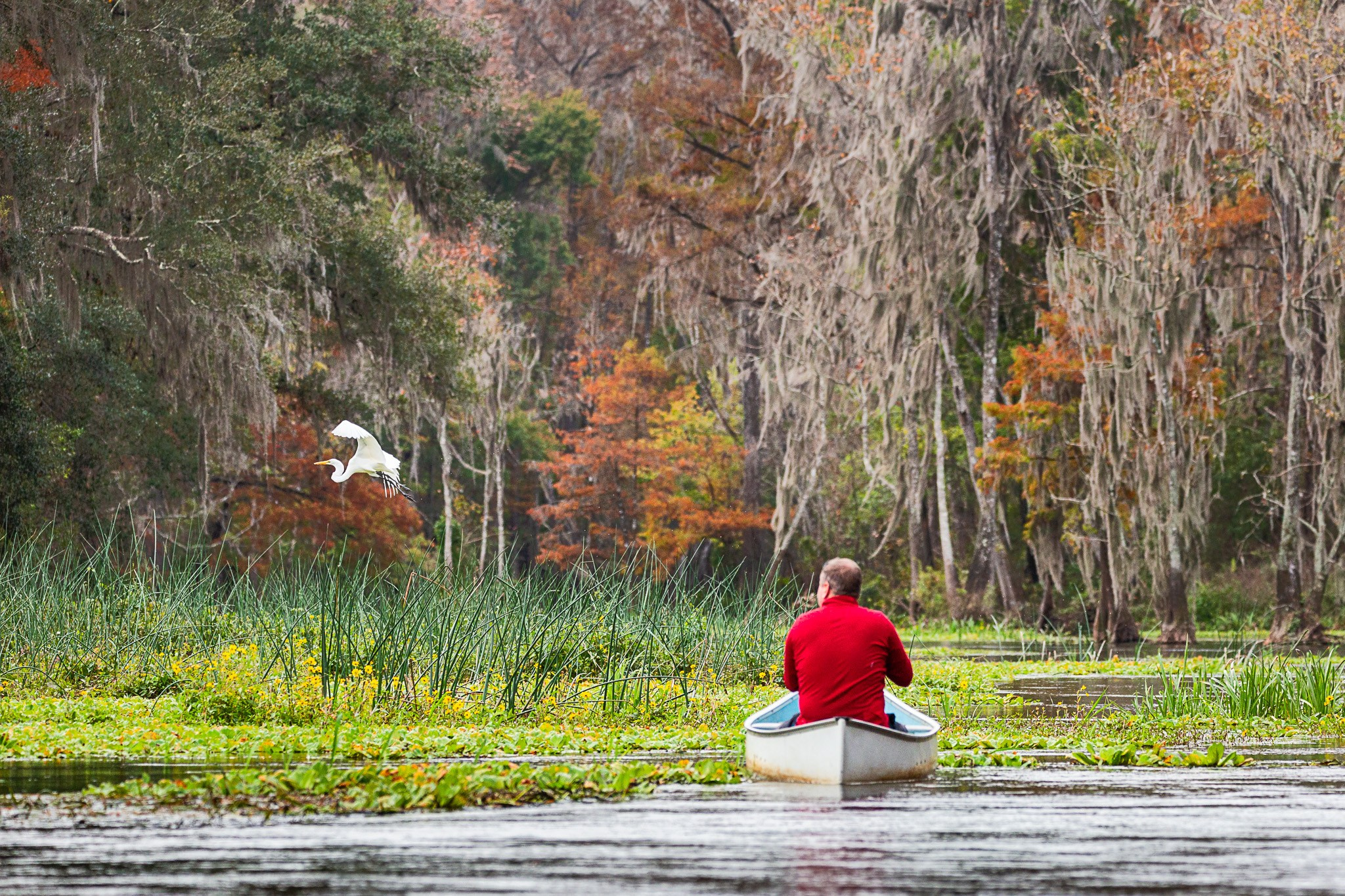 Exploring True Florida: Springs, Rivers & Manatees by Canoe. Pet, Senior, Landscape, portrait studio, photographer in Miami and Sou