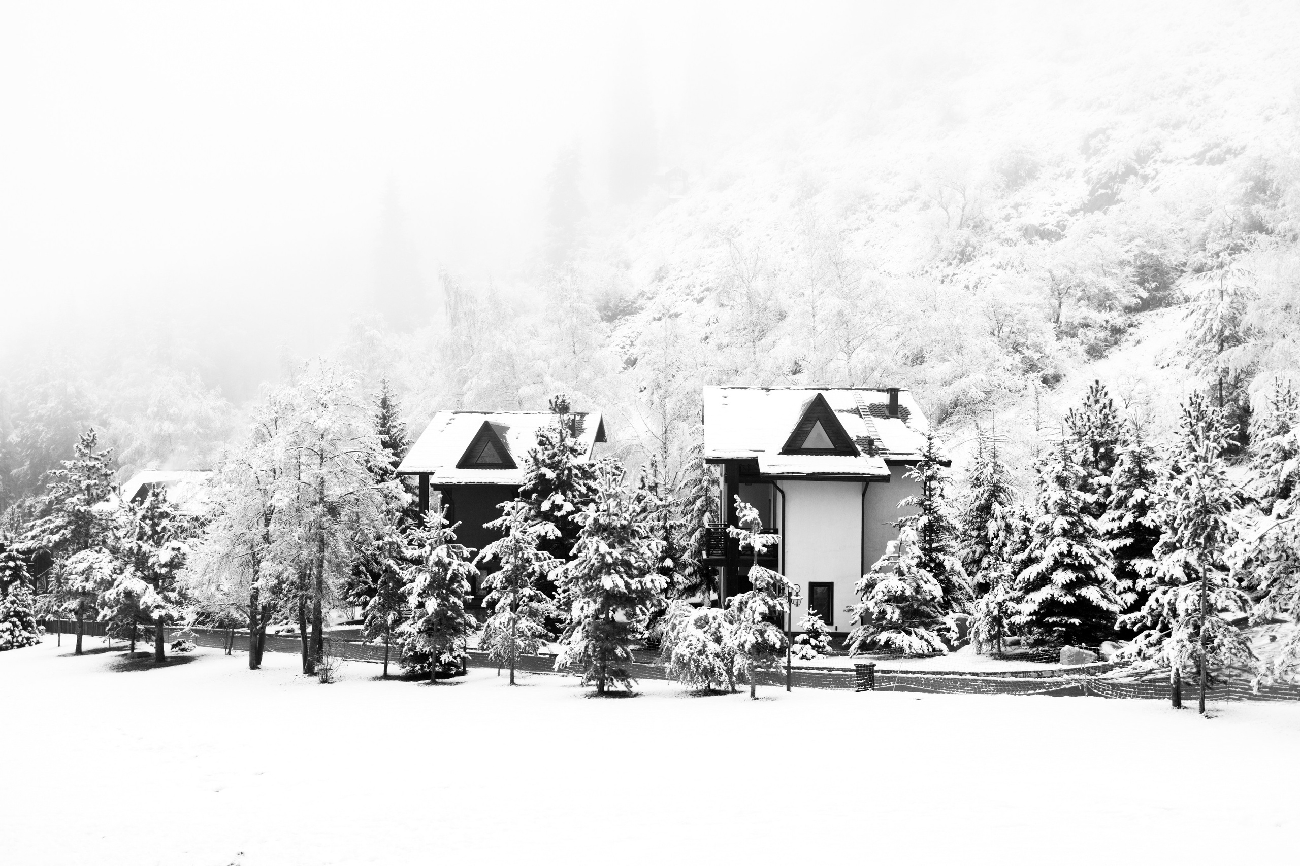 Марат&Виолетта