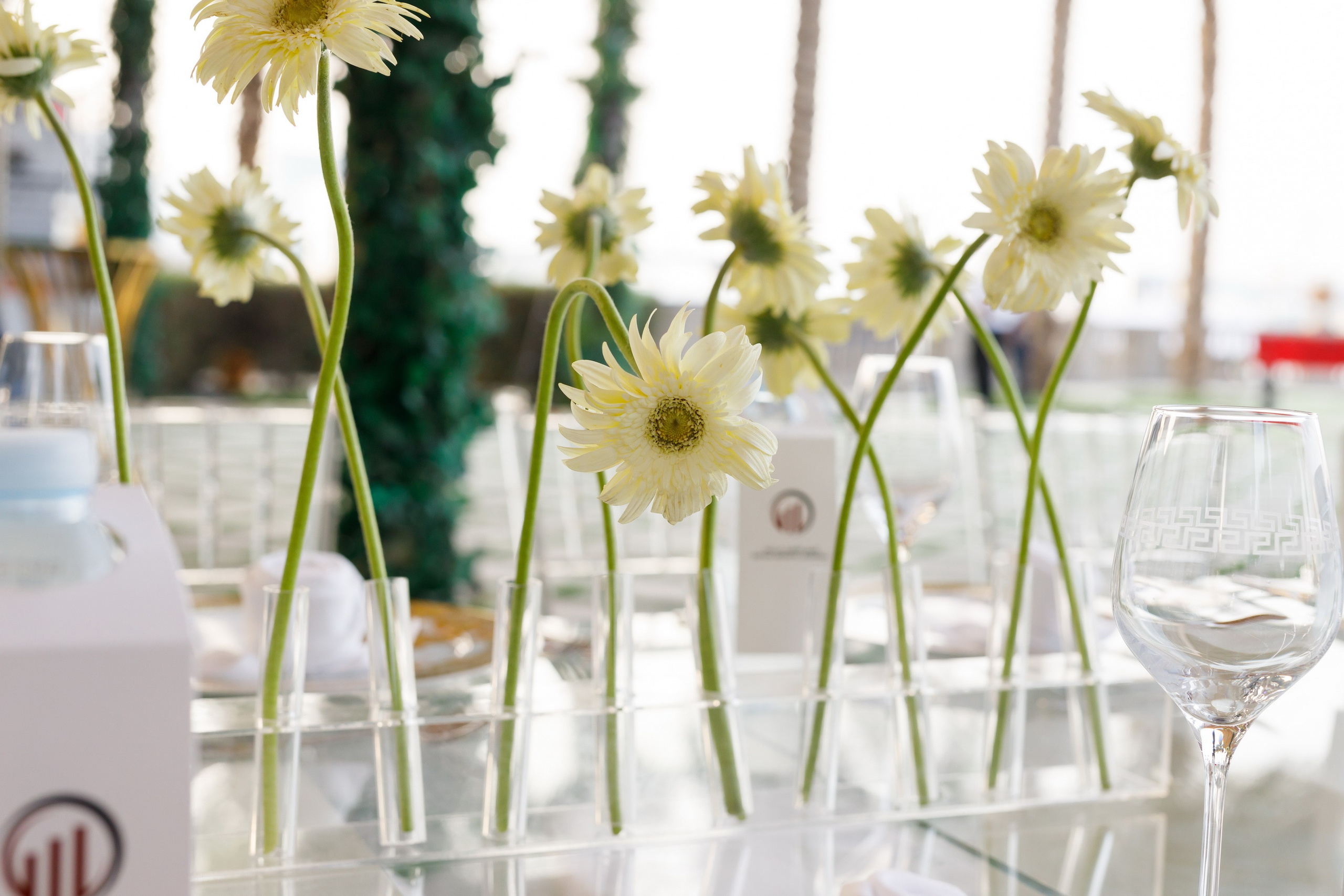 ENTWA company Anniversary — Dubai 2023. Photographer Anna Curly | Weddings and Events in Dubai