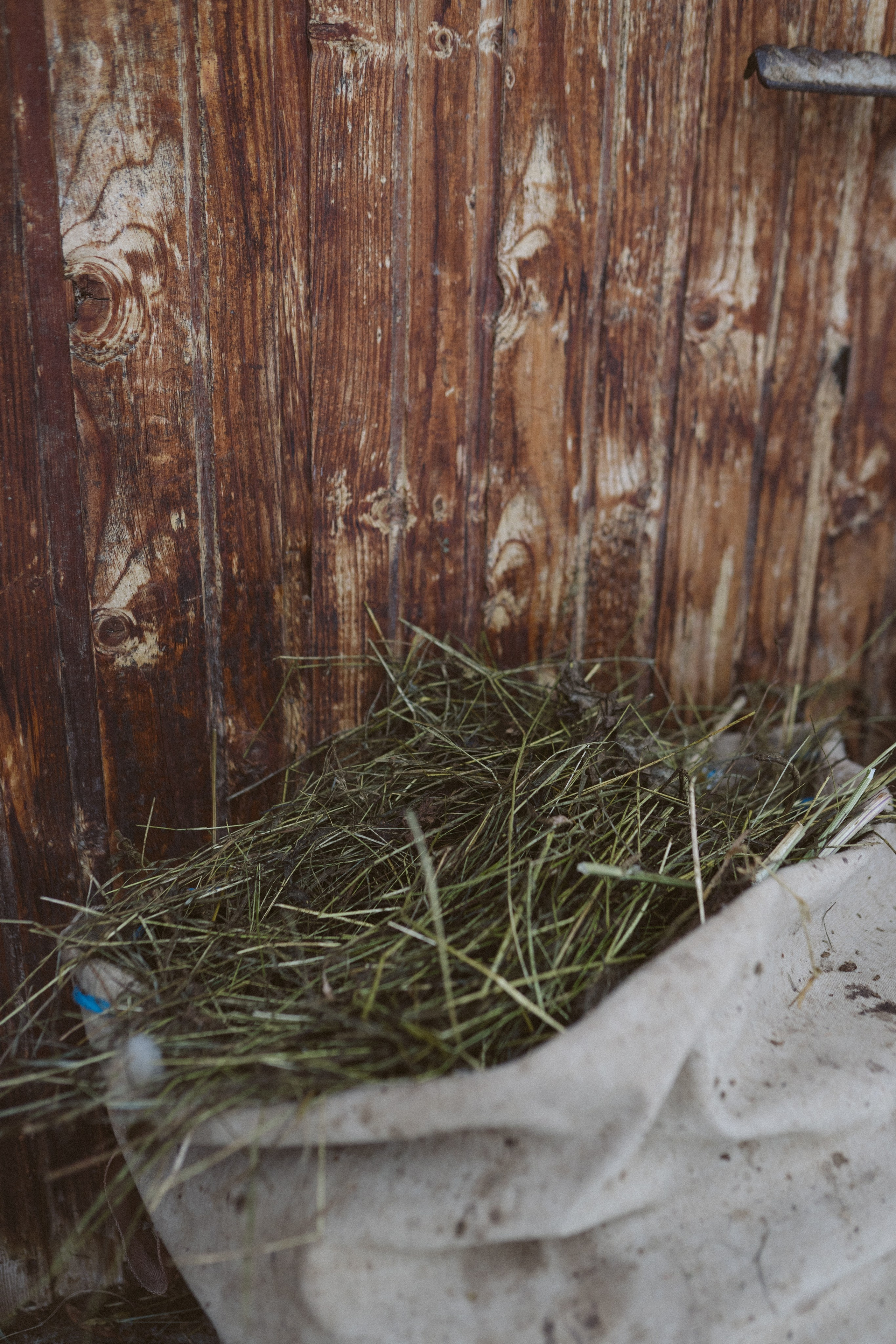 Review Manduca XT: Experiența mea de mamă | Mădălina Beda. Madalina Beda- Artist vizual, fotograf, doula la nastere, consultant babywearing Brasov si in toata tara