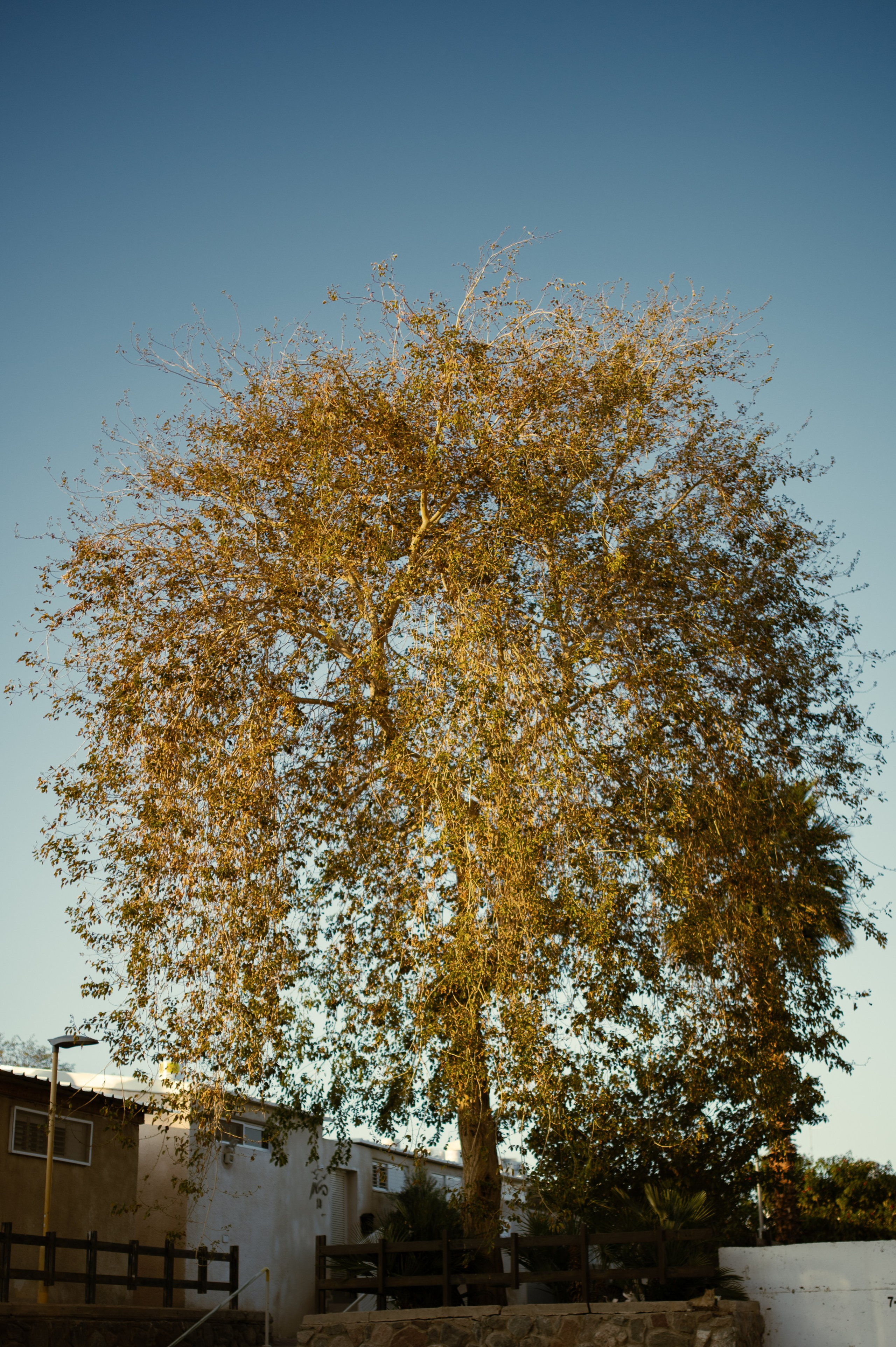 Eric Stoln Photography