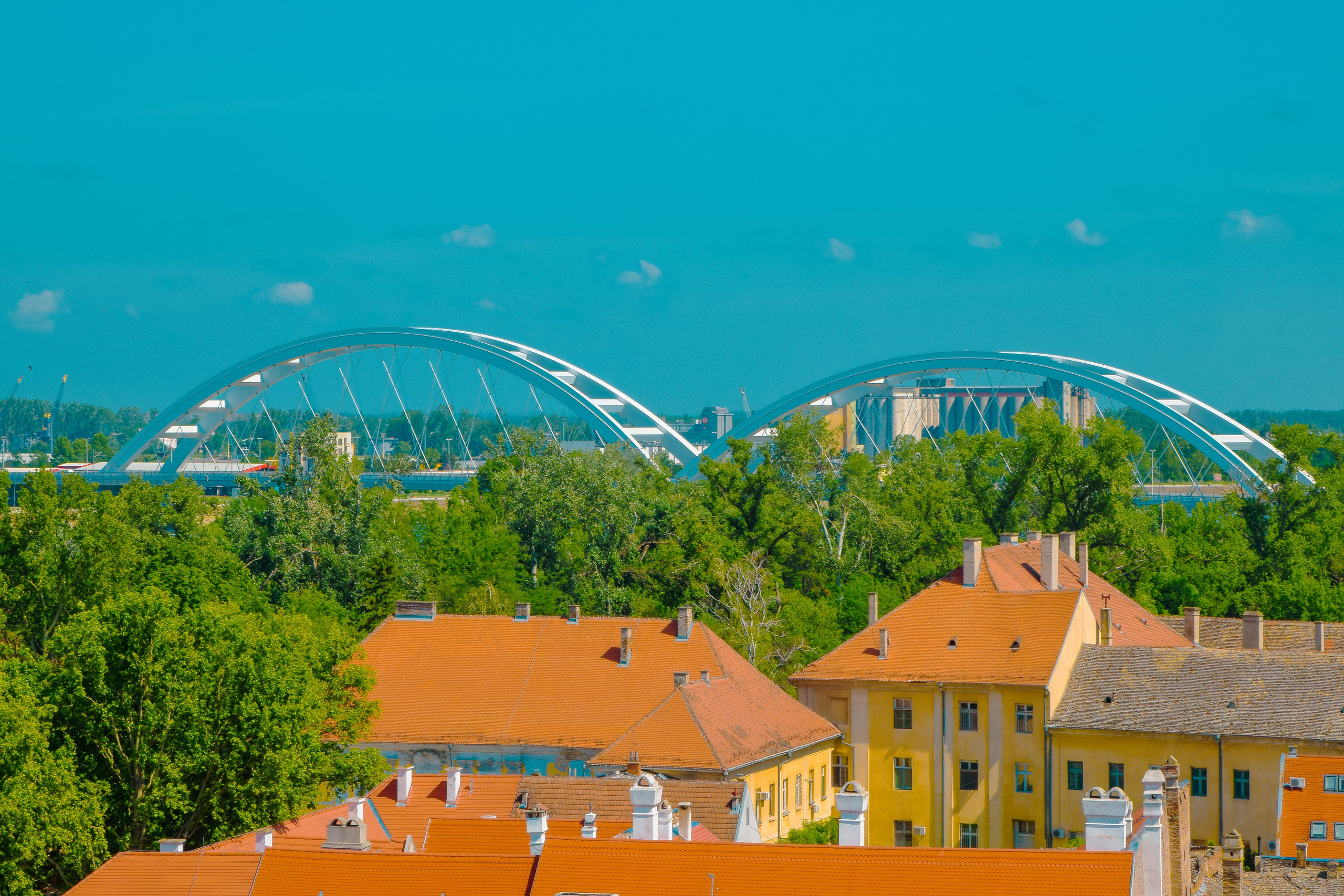Петроварадин - галерија на продају. Викторија Федосеенко, фотограф у Србији