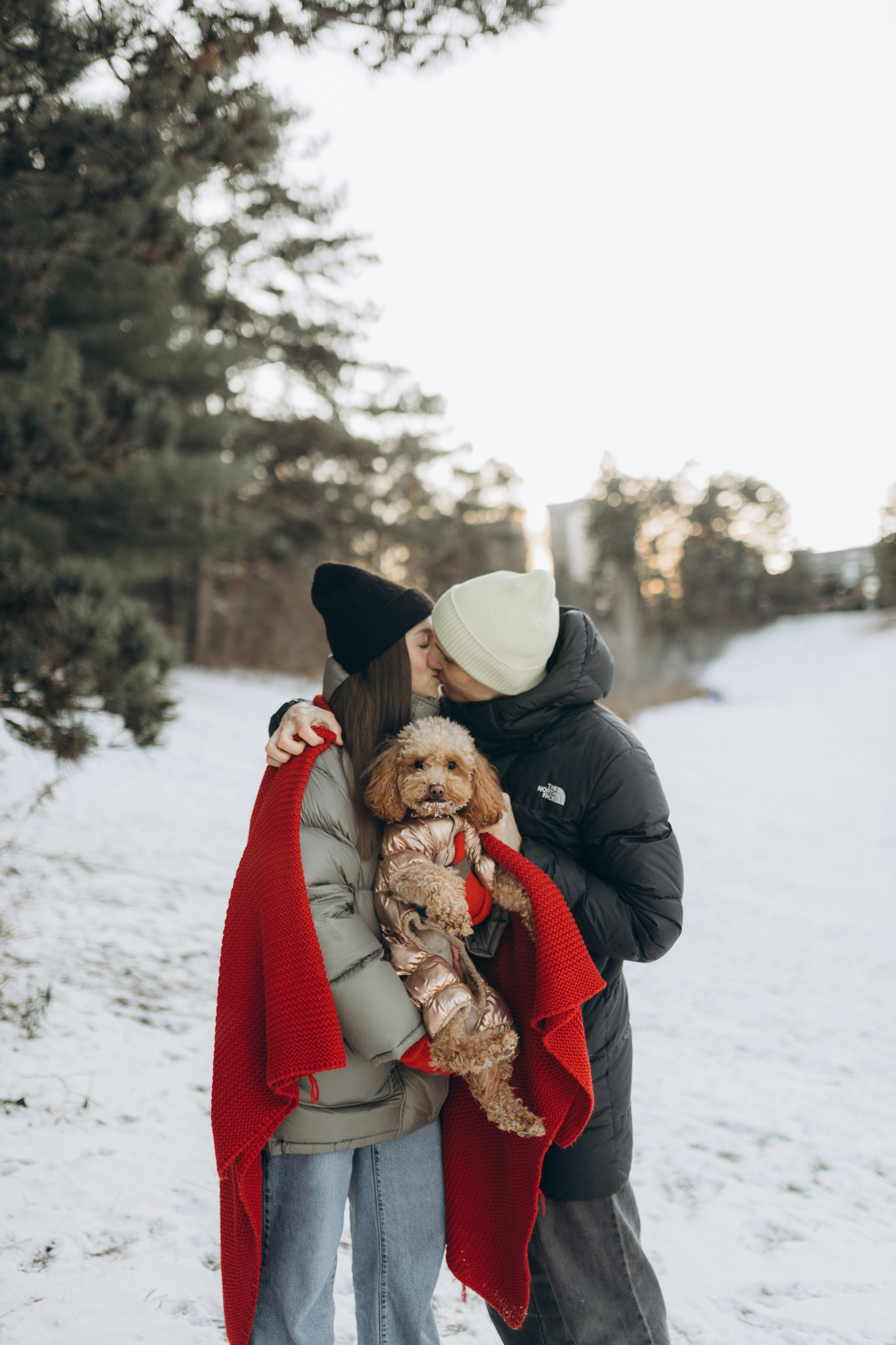 Winter magic. Chernenko.photography