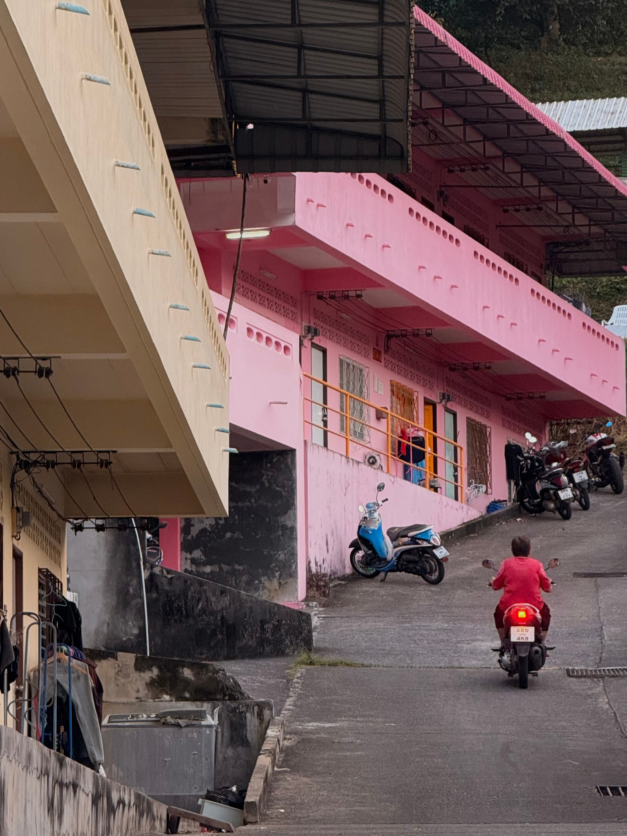 Phuket_2024/2025. Портретный фотограф Алена Новгородцева