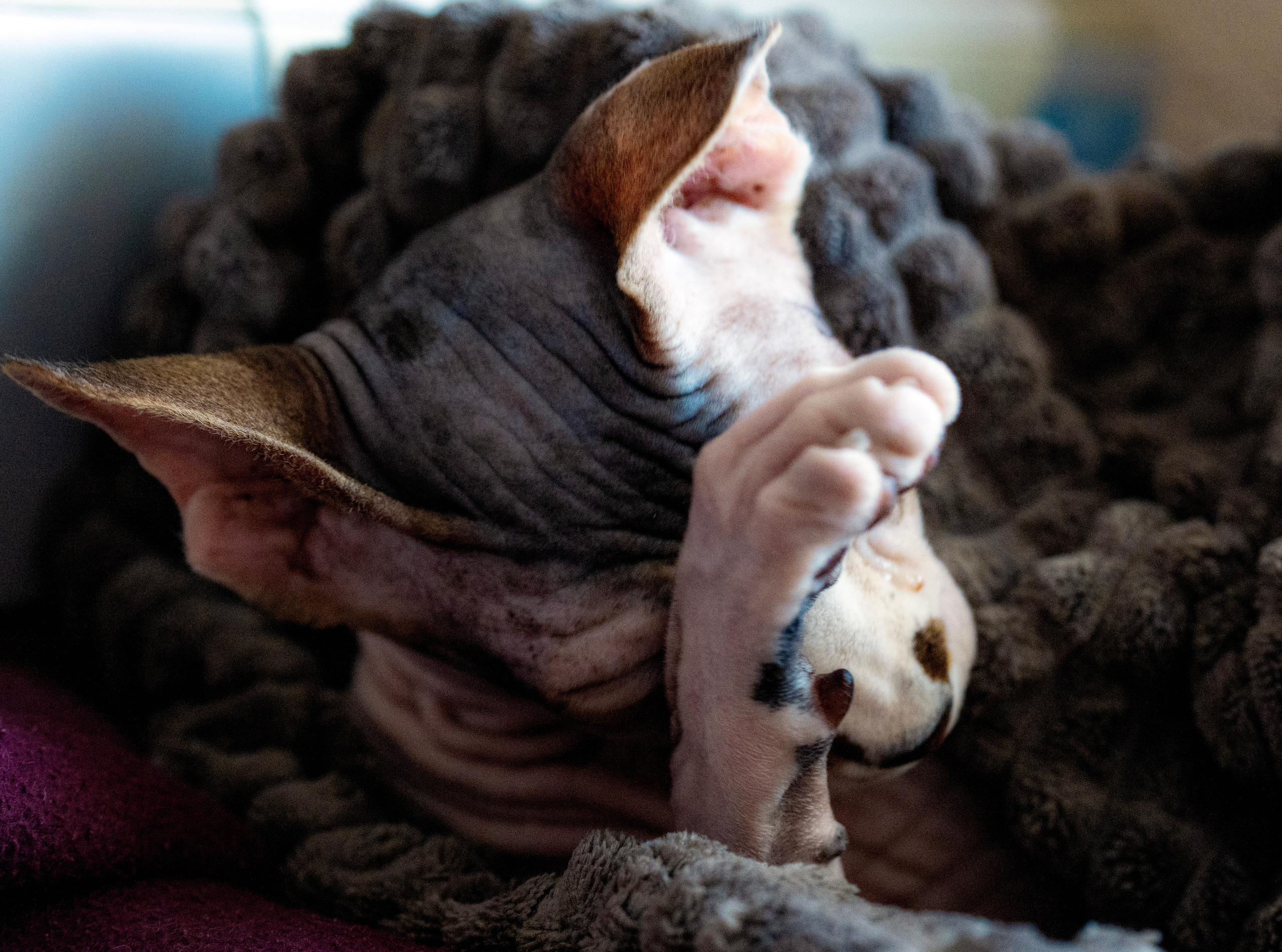 ЯХТЫ. LUKIN IGOR Photography