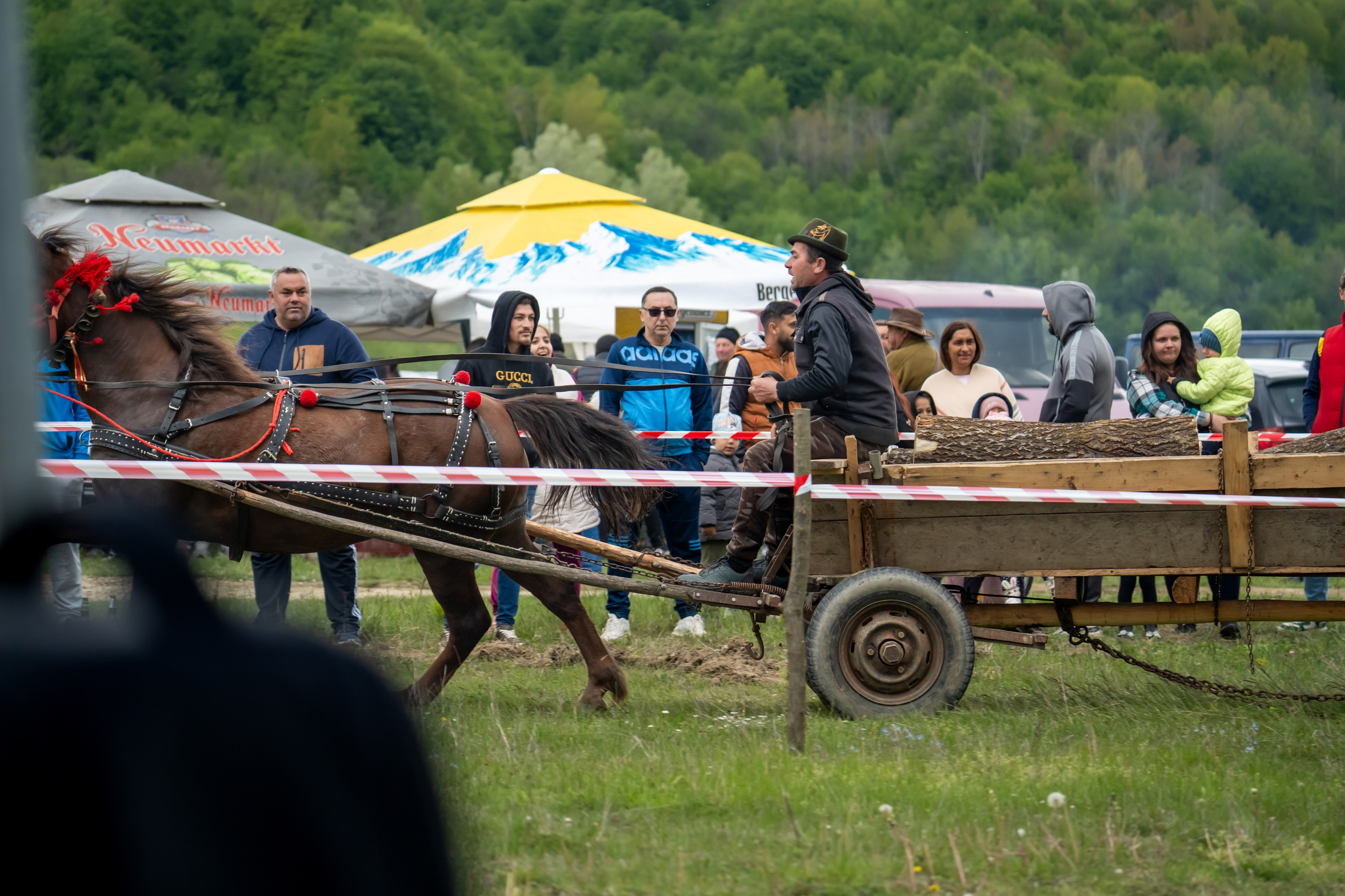 Concurs Ecvestru Vărbilău ediția a 4-a. Mihai Alexandra Events