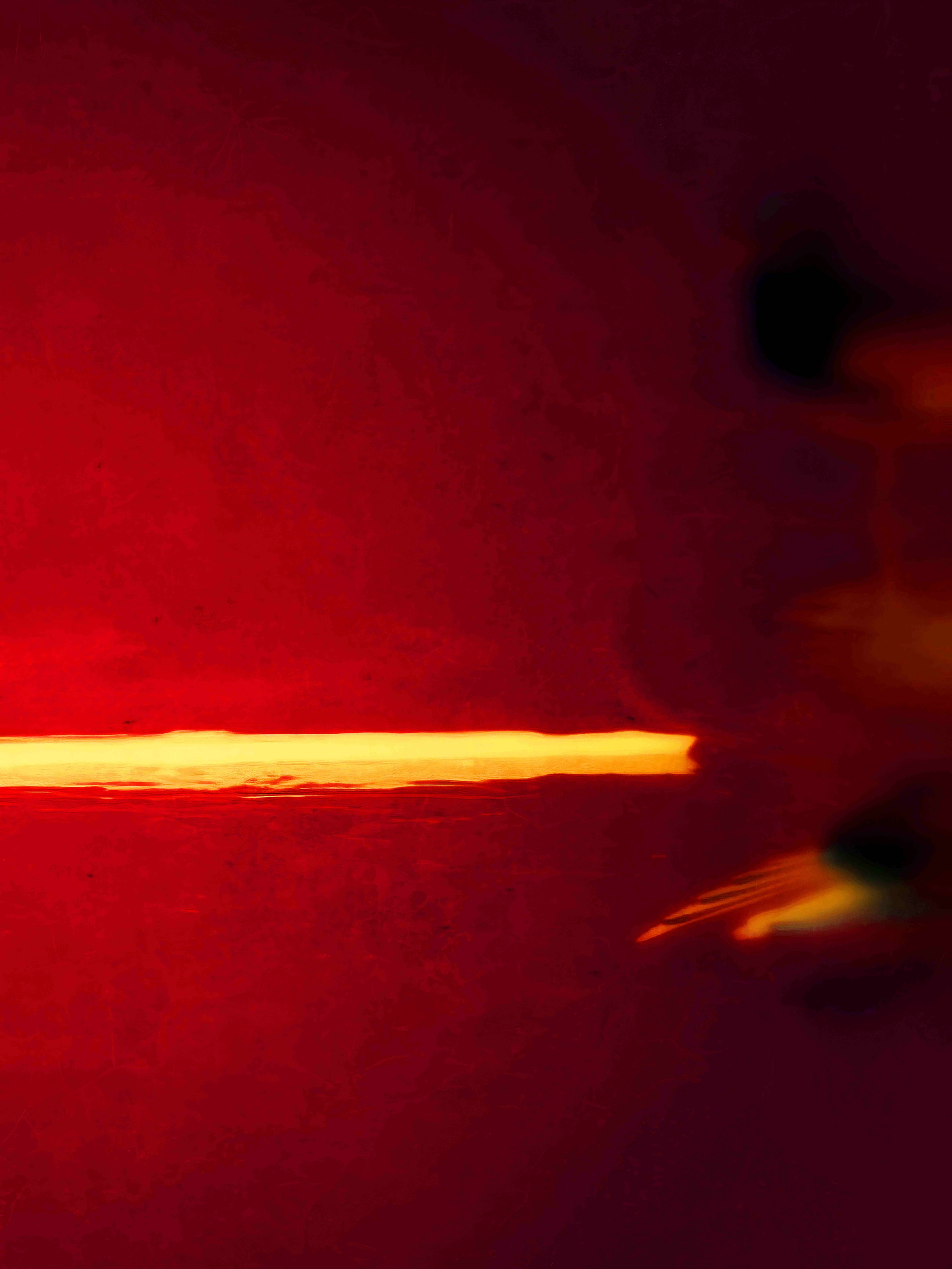 SEAGULLS. Irina Owlik — Visual Artist