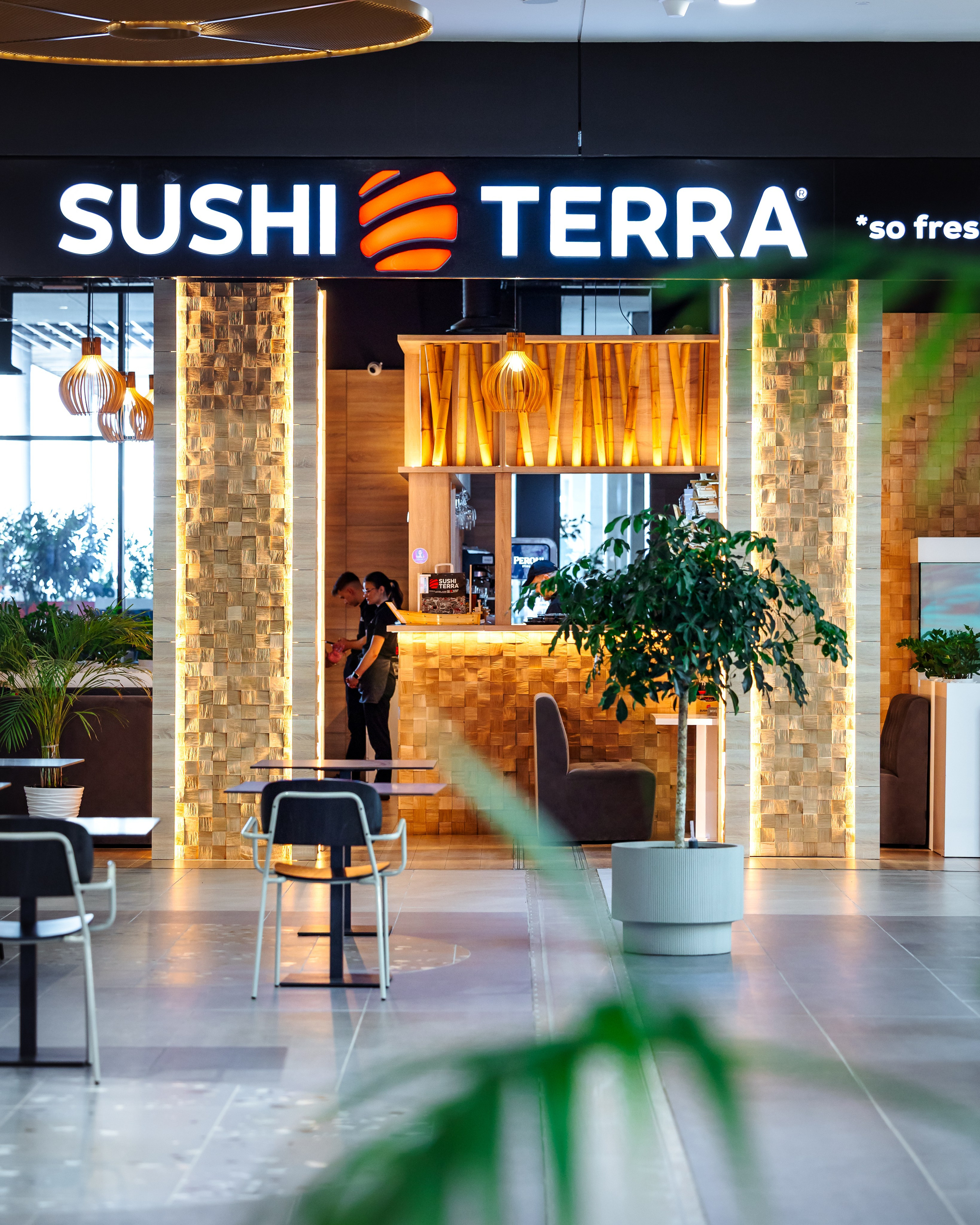 Sushi Terra. Marius Ciocan
