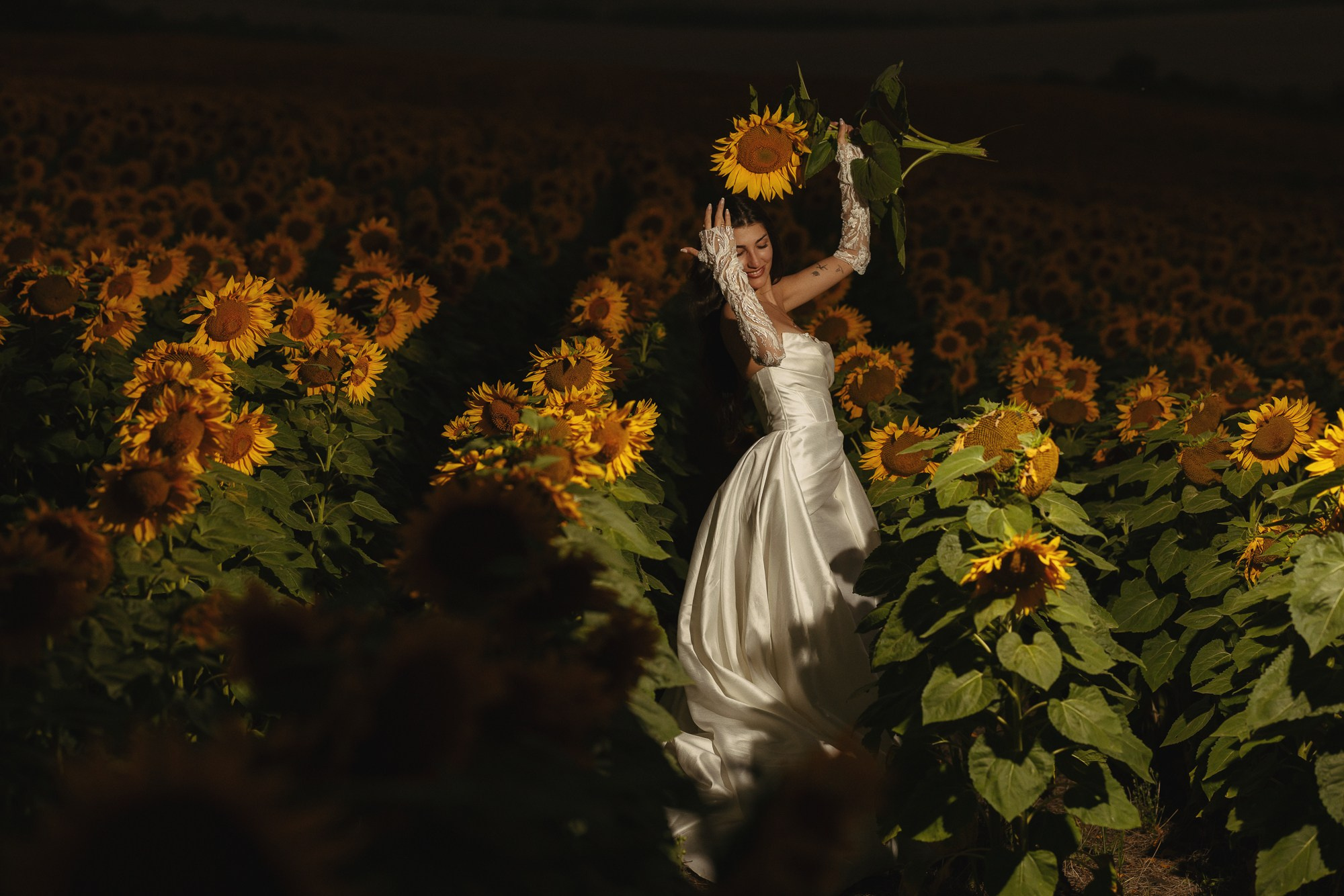 Sunflowers. Lika Gabunia photography lika gabunia