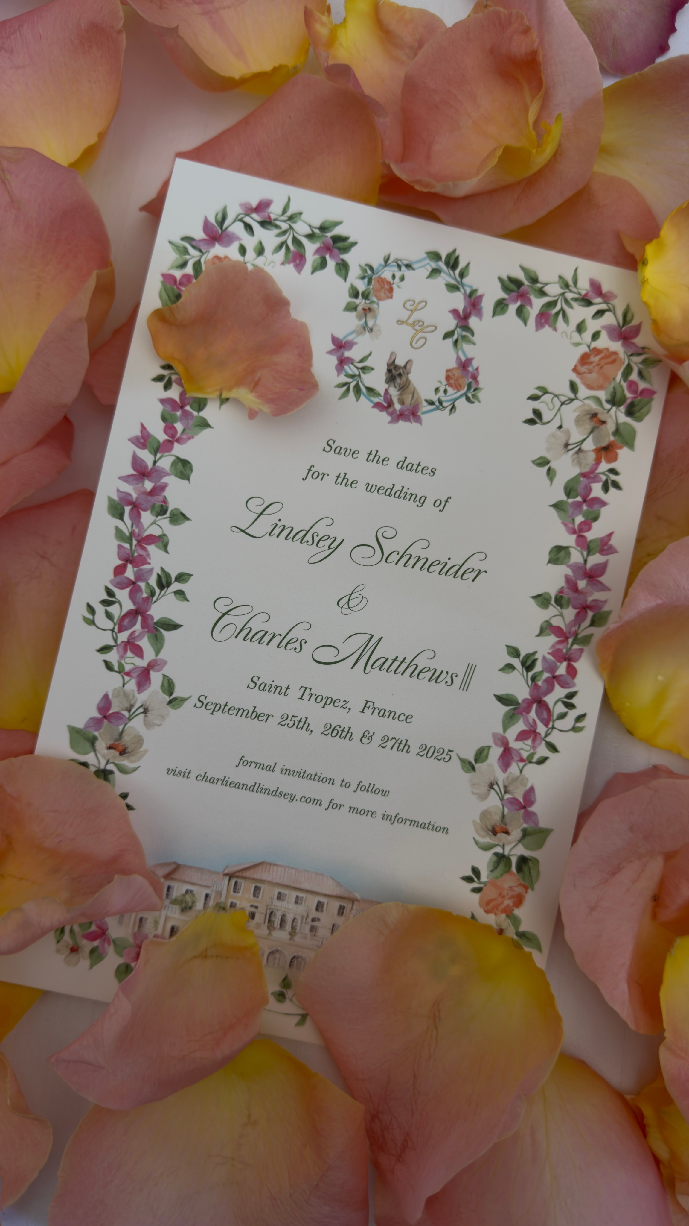 CONTENT CREATION. ALEX ZARIES, WEDDING VIDEOGRAPHER