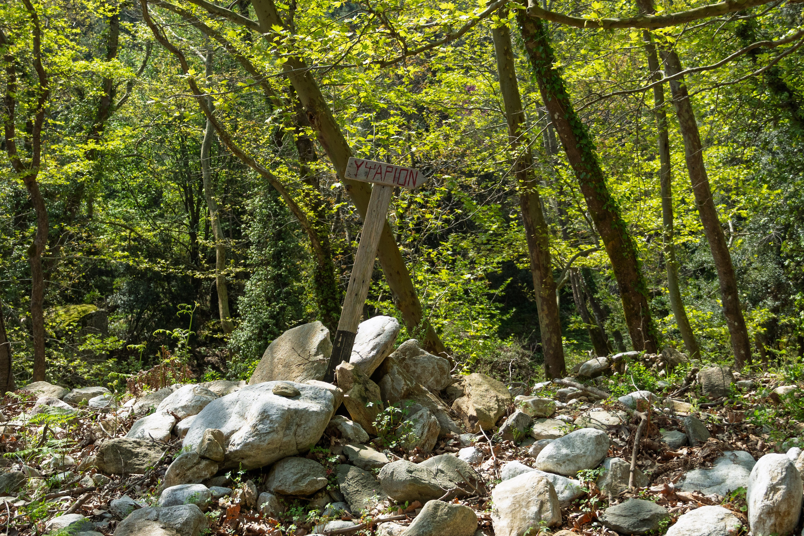 Thasos 2025. Fotografiideplacere.net