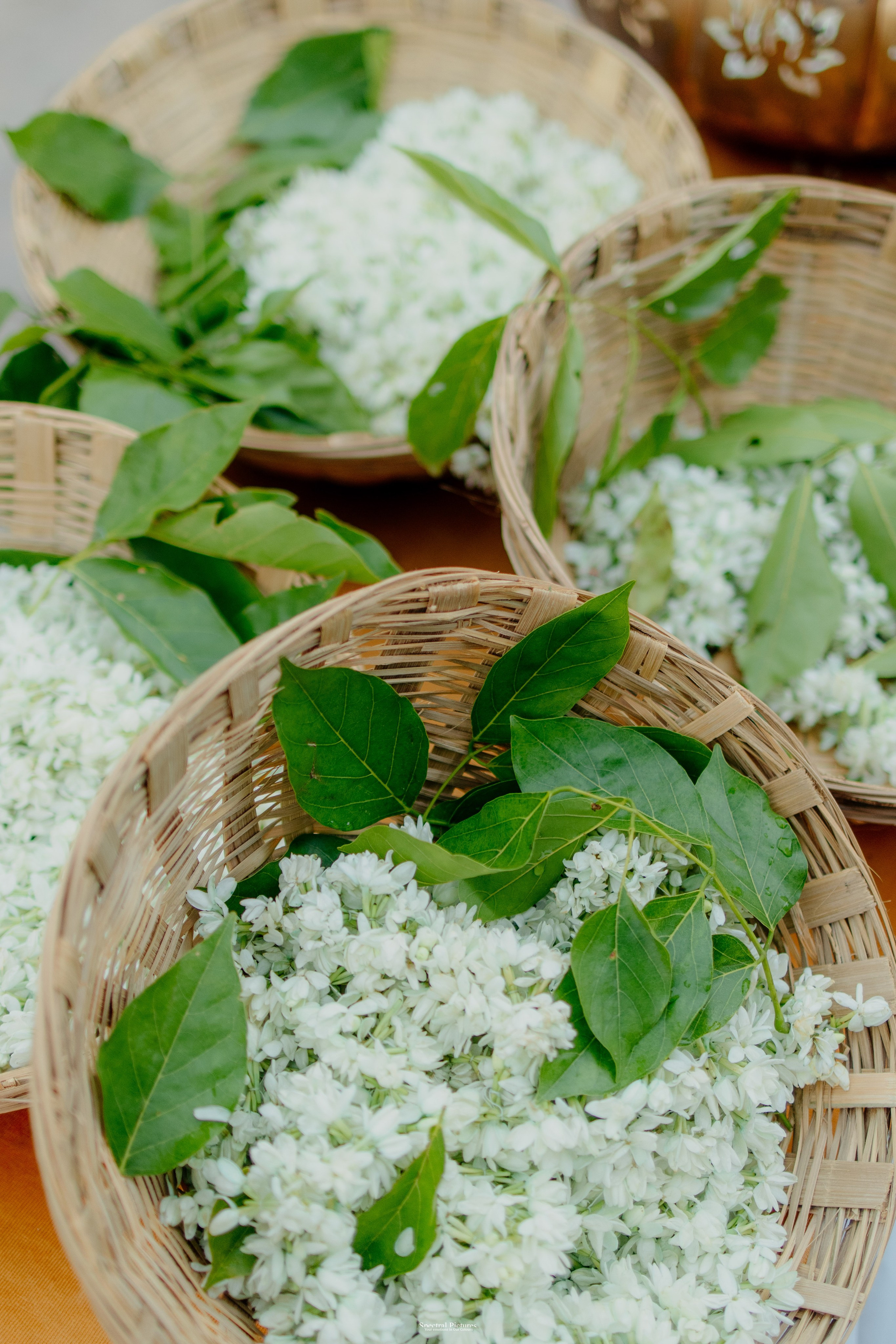 “Ankur & Malavika | Two States, One Soul”