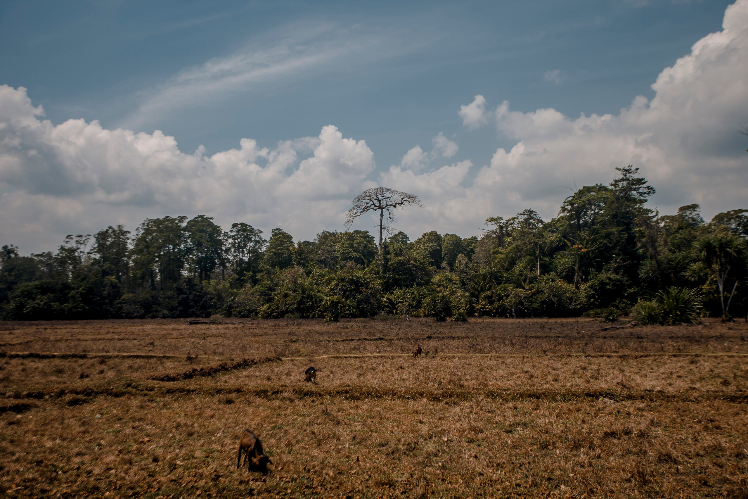 Andaman Islands, Part2. Art Photographer