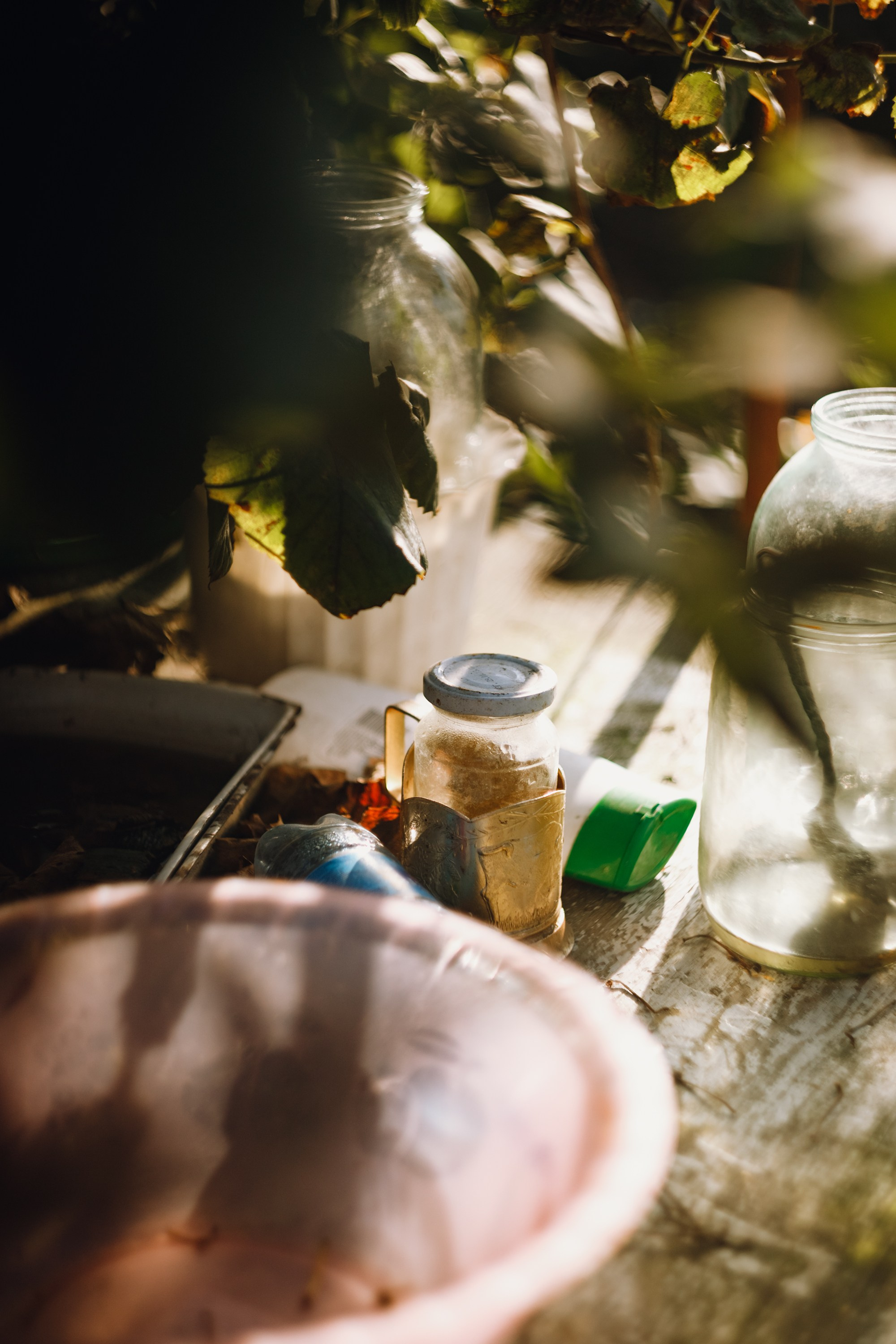 Grandmother's home in Brest. Kaja | fotograf we Wrocławiu | ludzie i psy