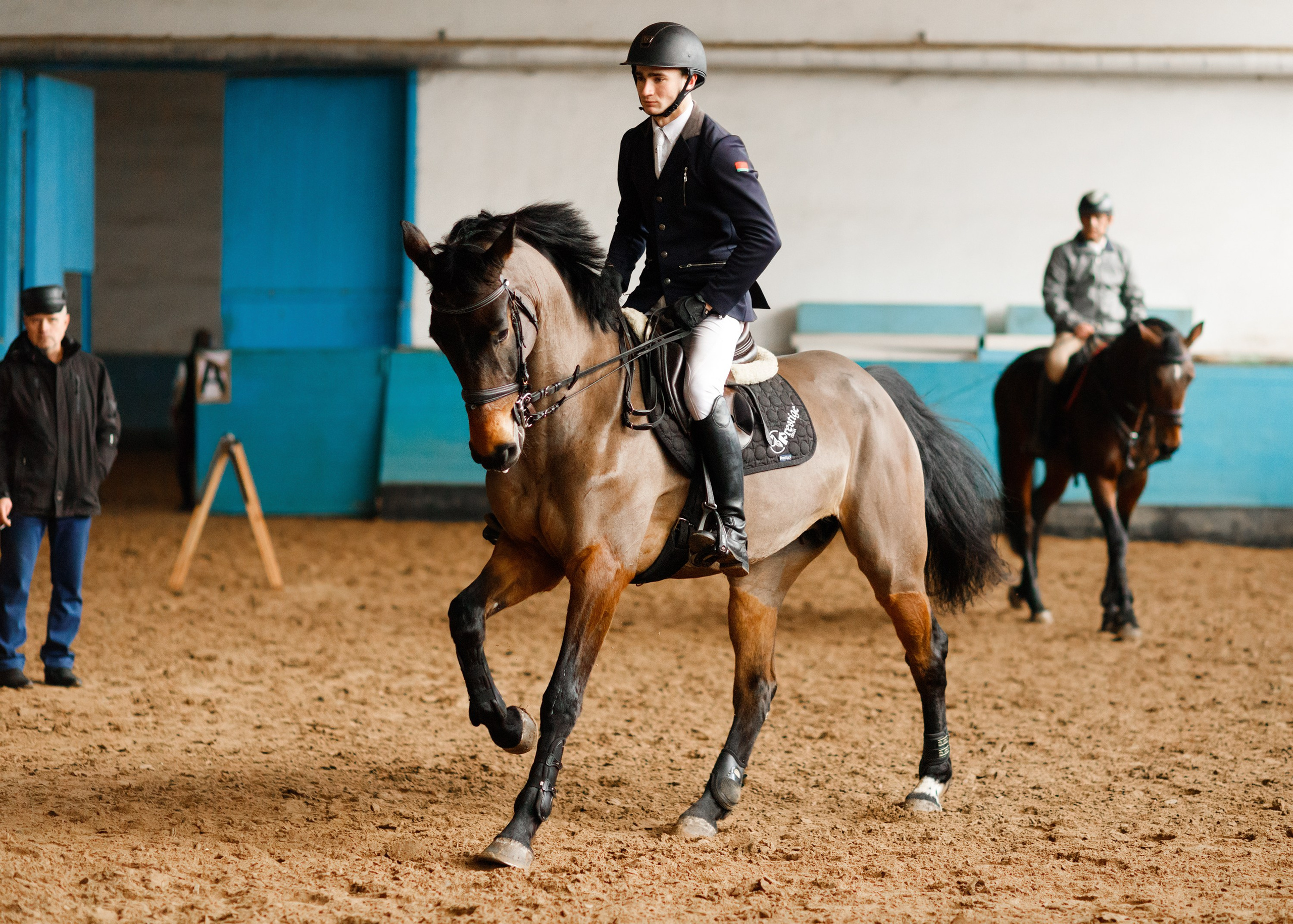 Winter show jumping in «Progress». Kaja | fotograf we Wrocławiu | ludzie i psy