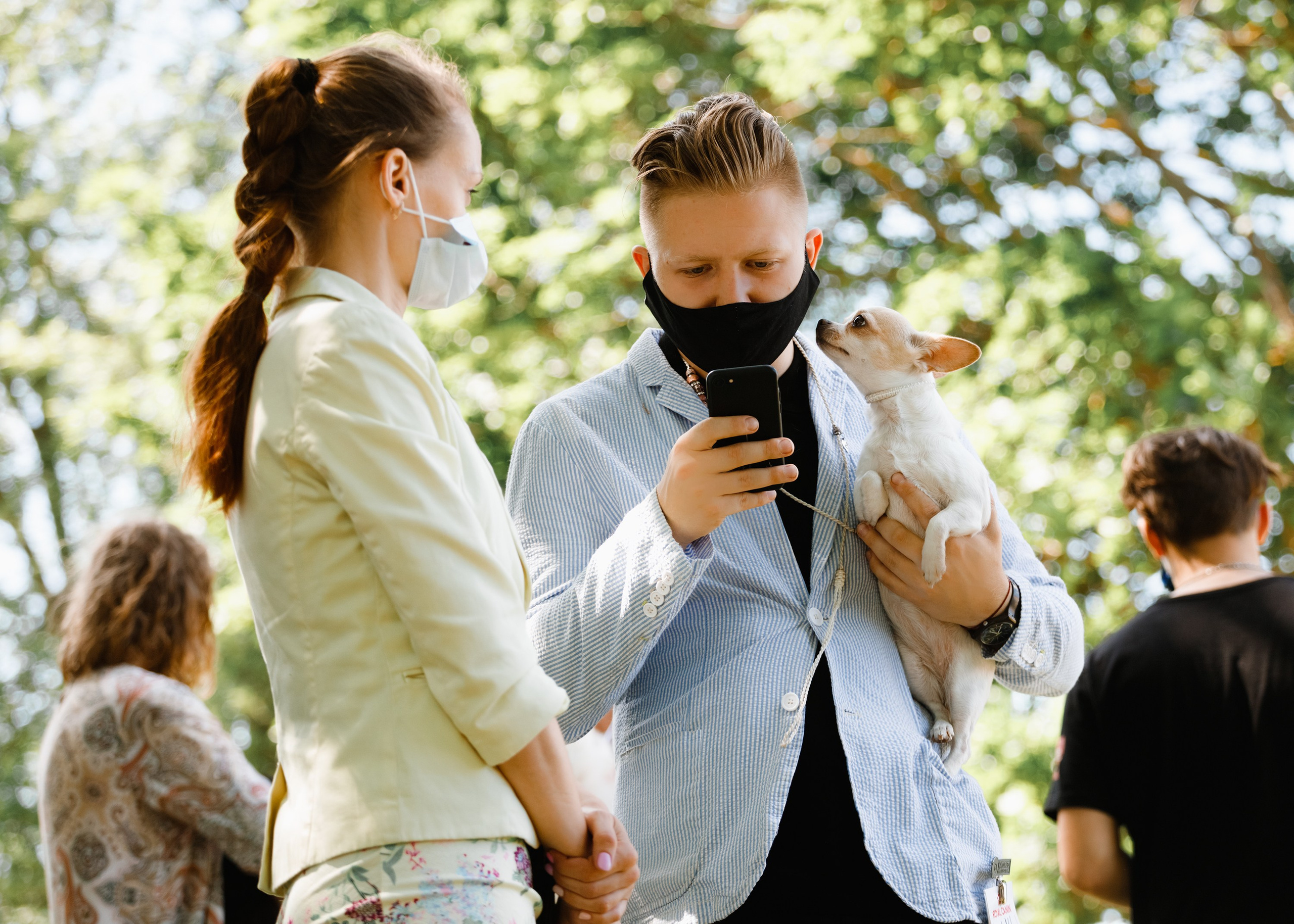 Dog shows | the best ones. Kaja | fotograf psów we Wrocławiu