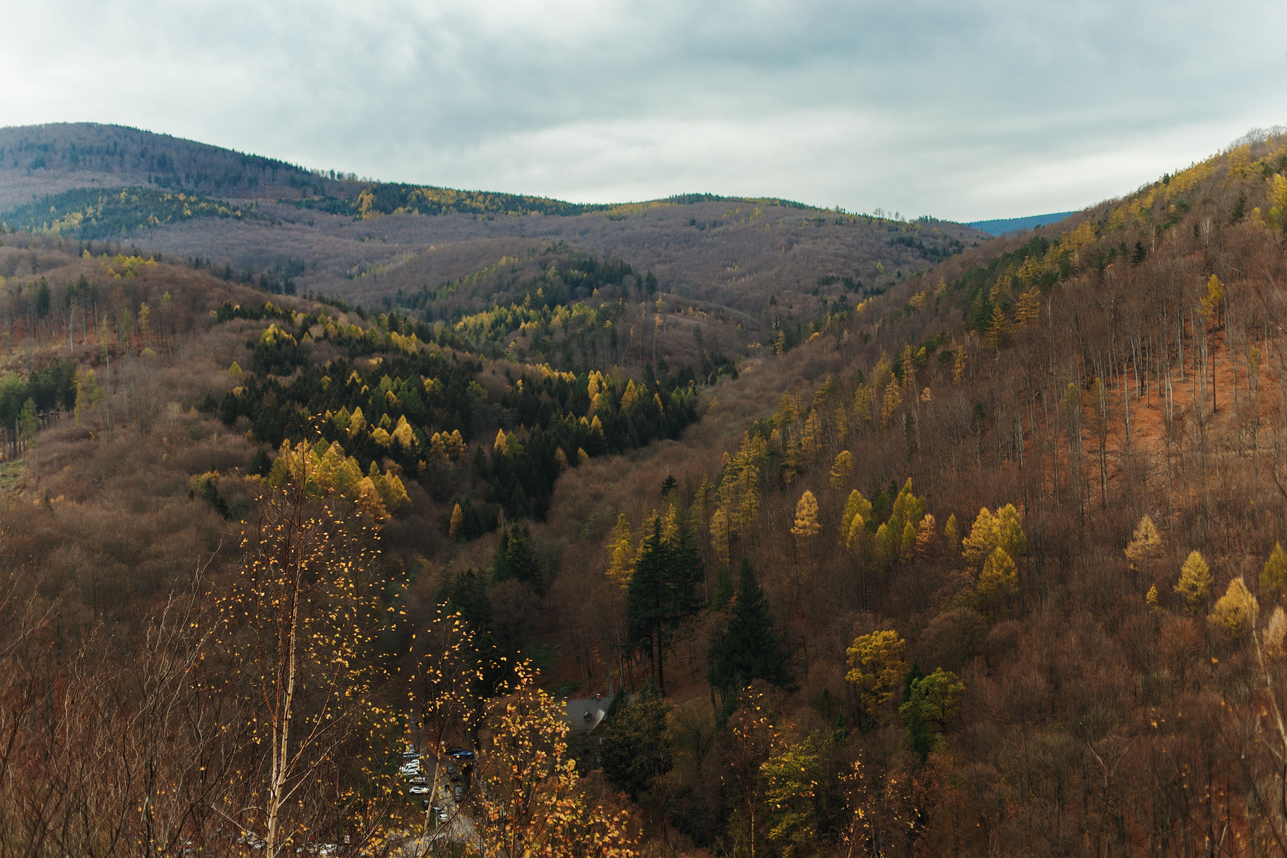 Sowie góry. Kaja | fotograf we Wrocławiu | ludzie i psy