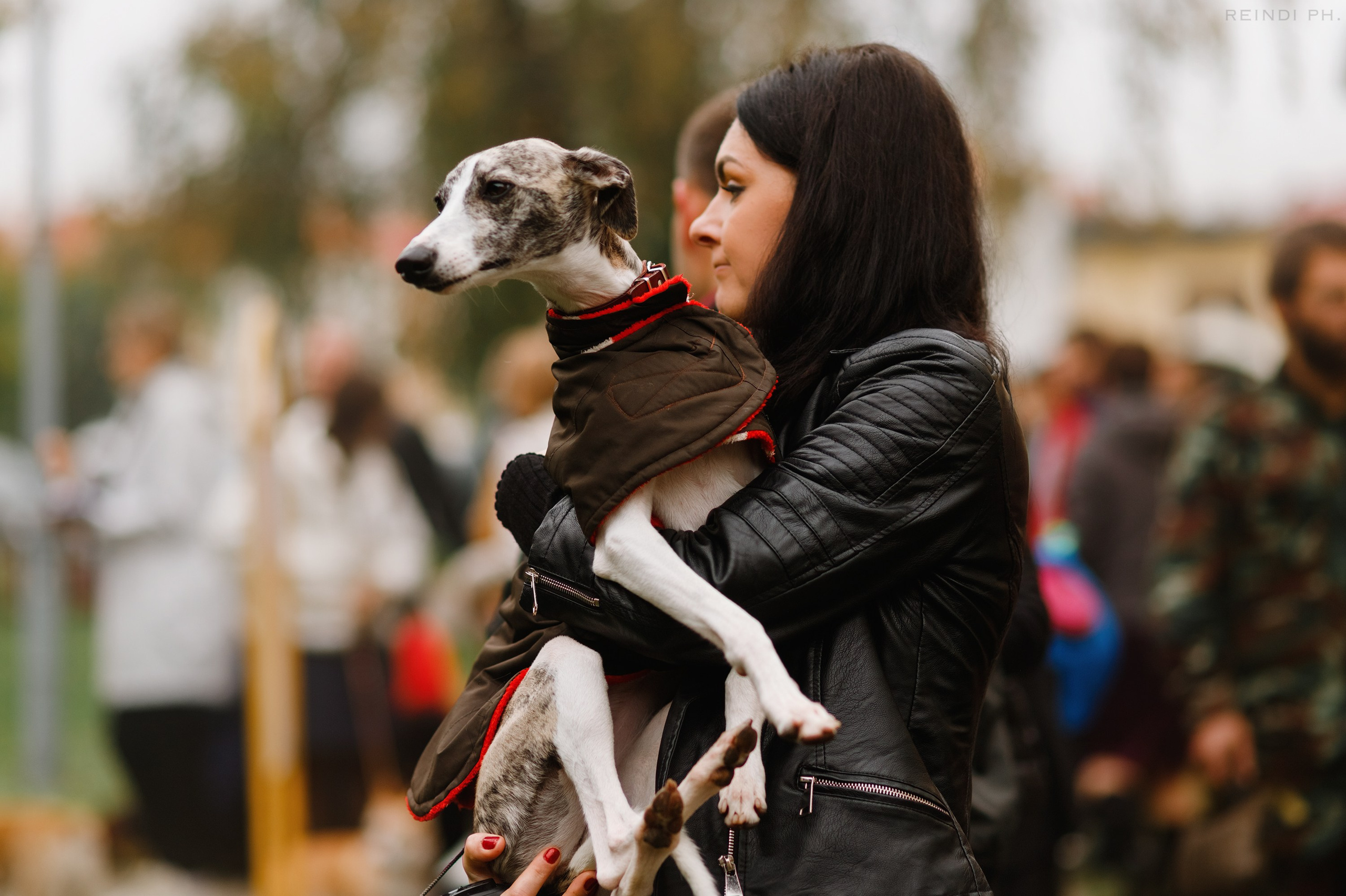 «Argus» dog show in Brest. Kaja | fotograf we Wrocławiu | ludzie i psy