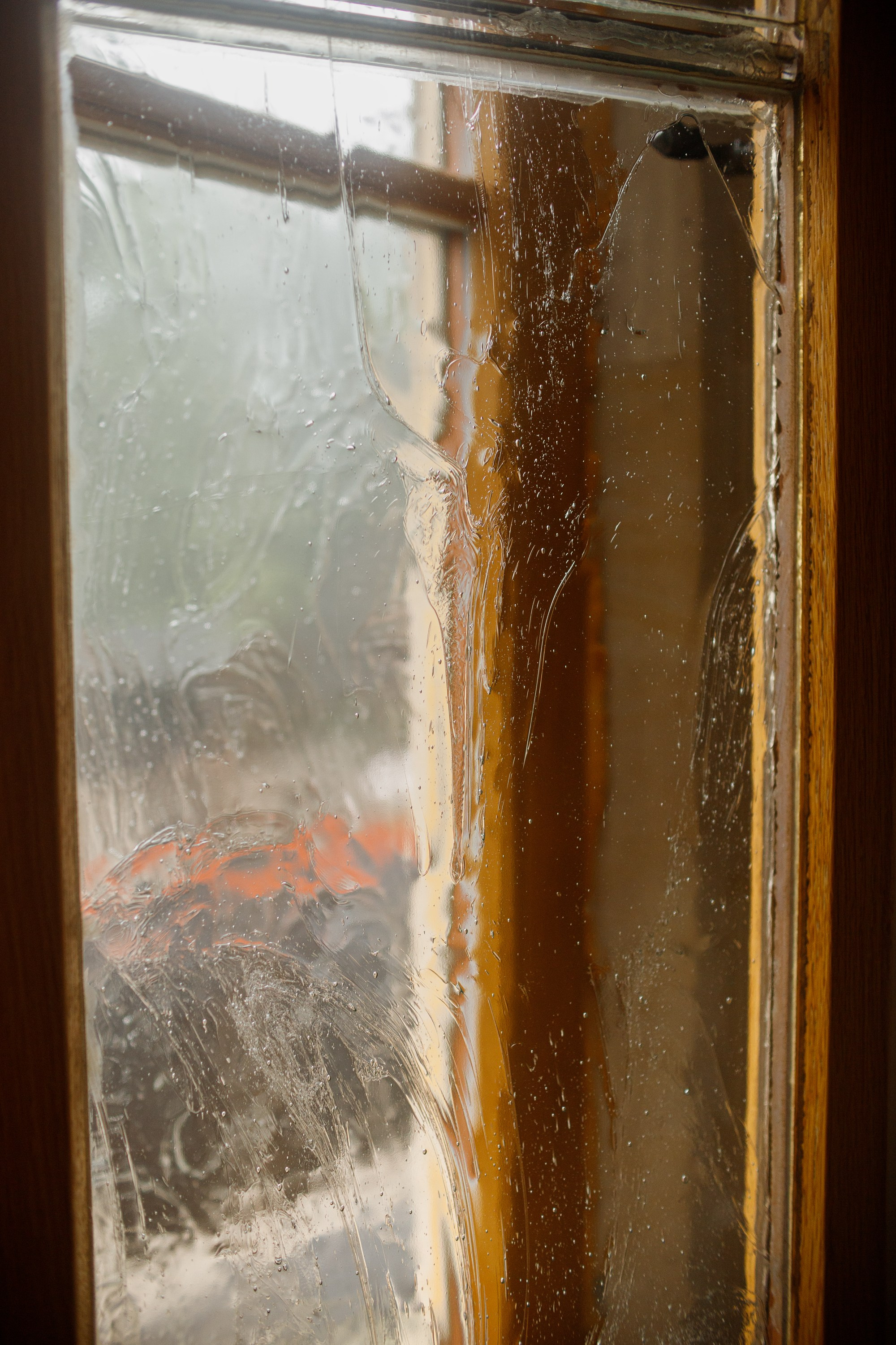 Zamek Grodziec. Kaja | fotograf psów we Wrocławiu