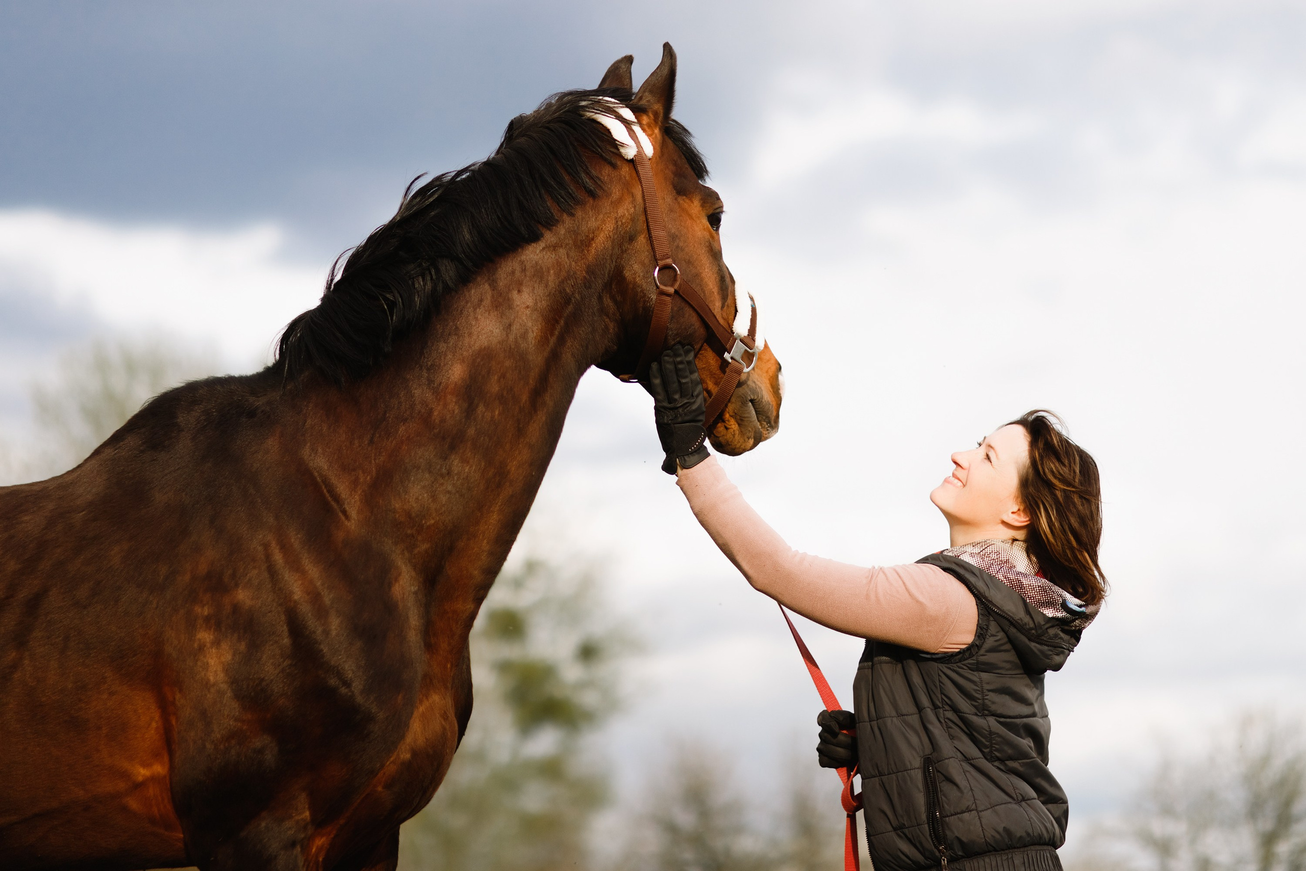 Vykup. Kaja | fotograf psów we Wrocławiu