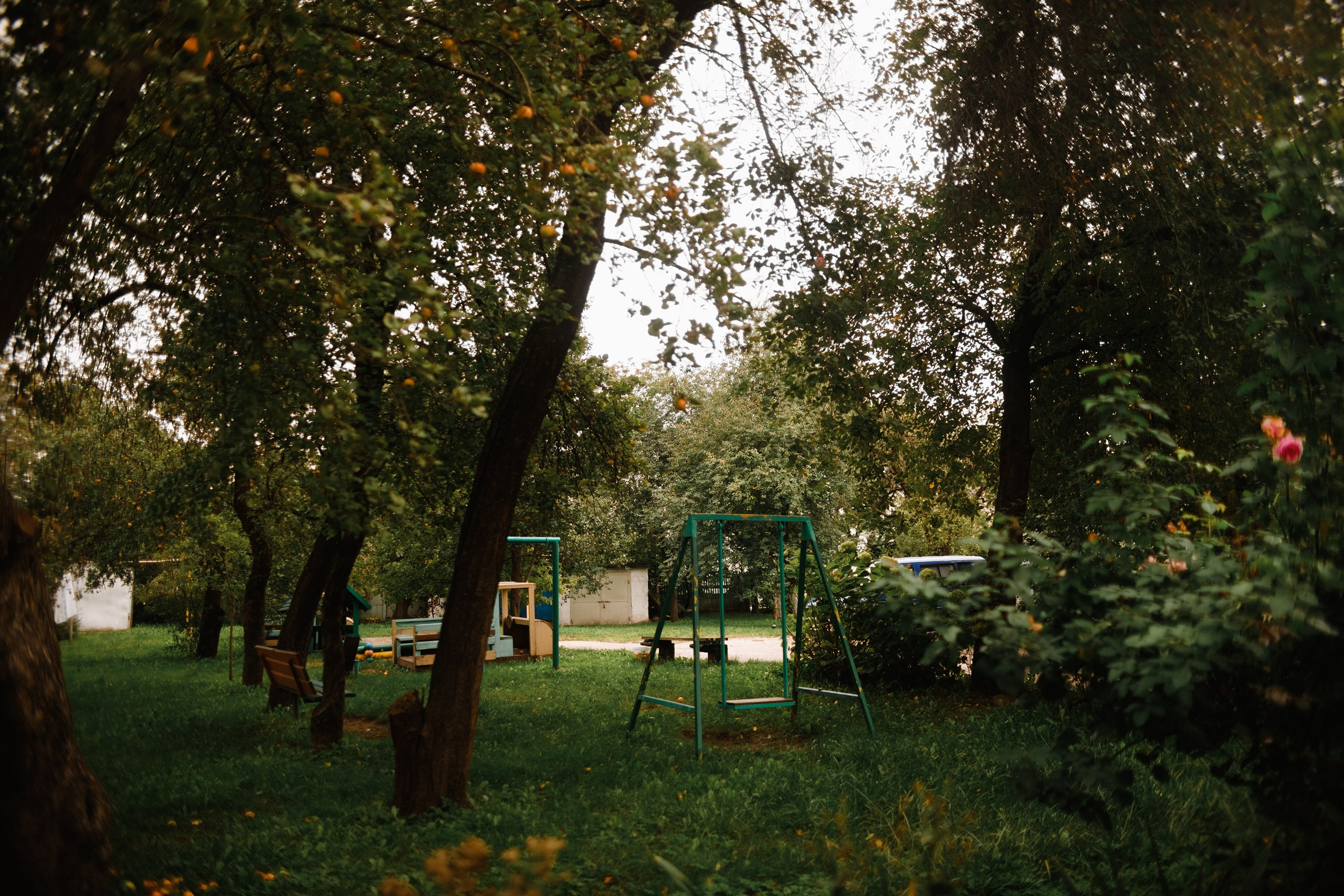 Grodno. Kaja | fotograf we Wrocławiu | ludzie i psy