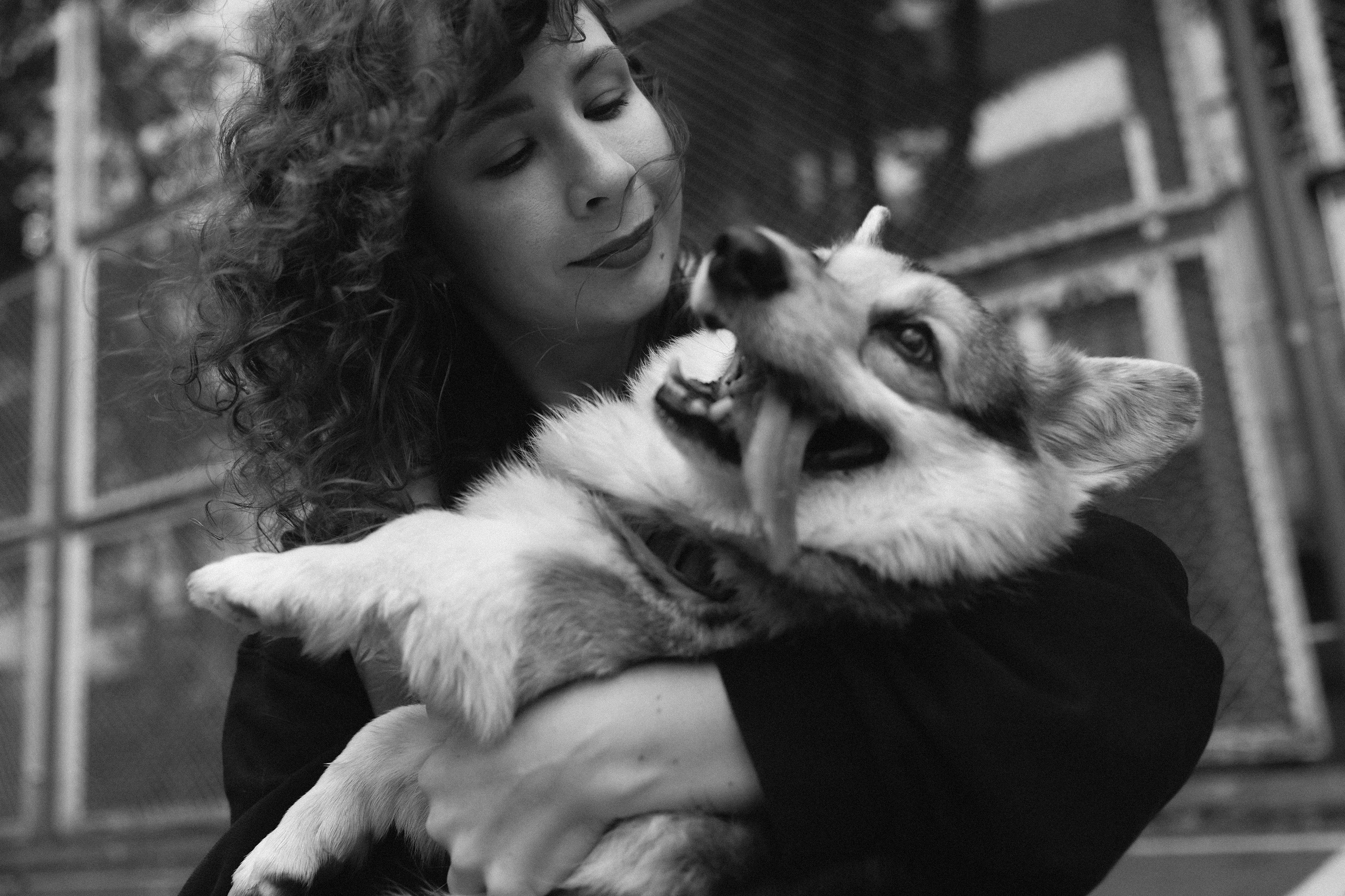 Sasha & Leonid. Kaja | fotograf psów we Wrocławiu