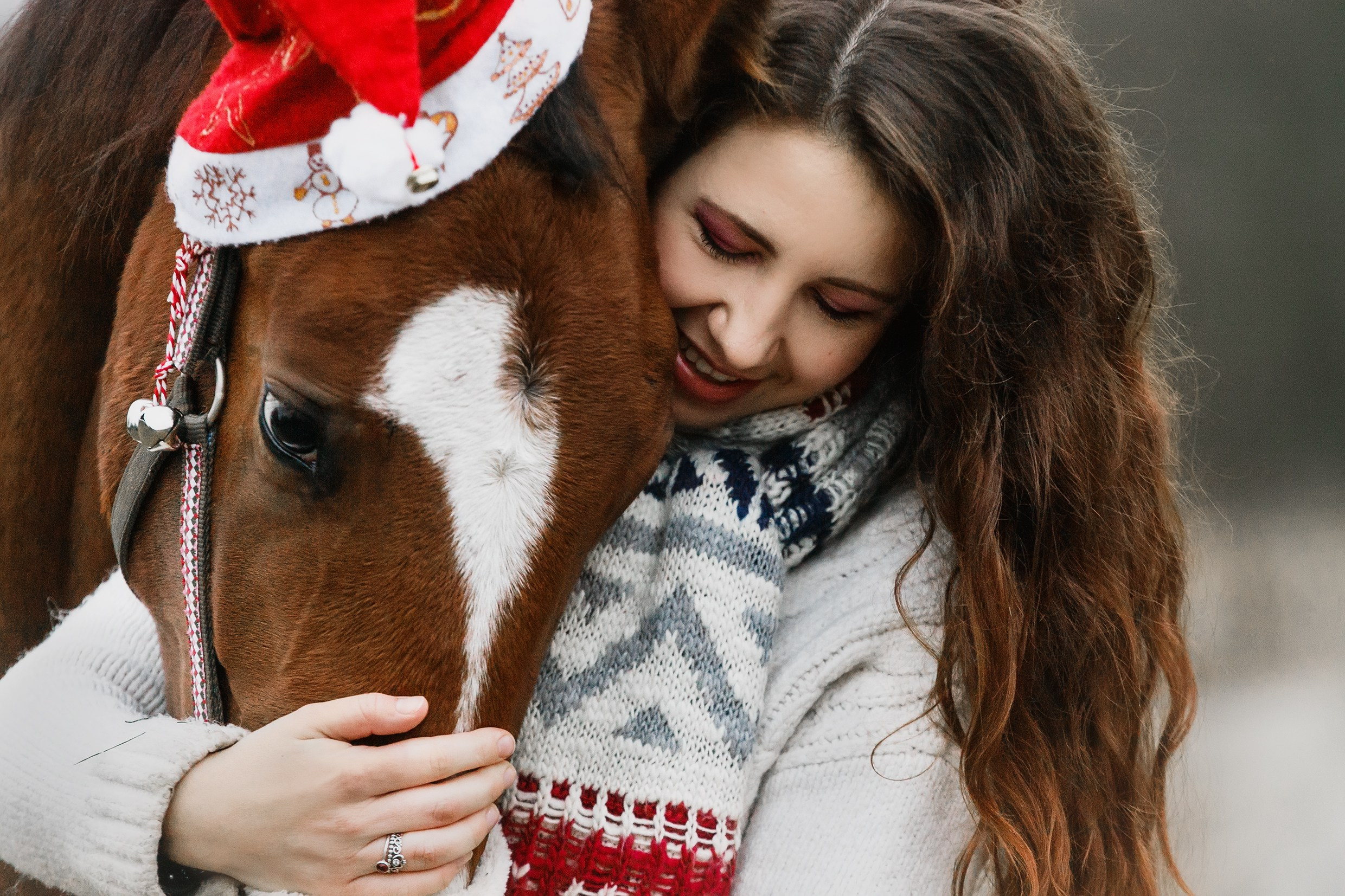 Aibike | winter. Kaja | fotograf psów we Wrocławiu