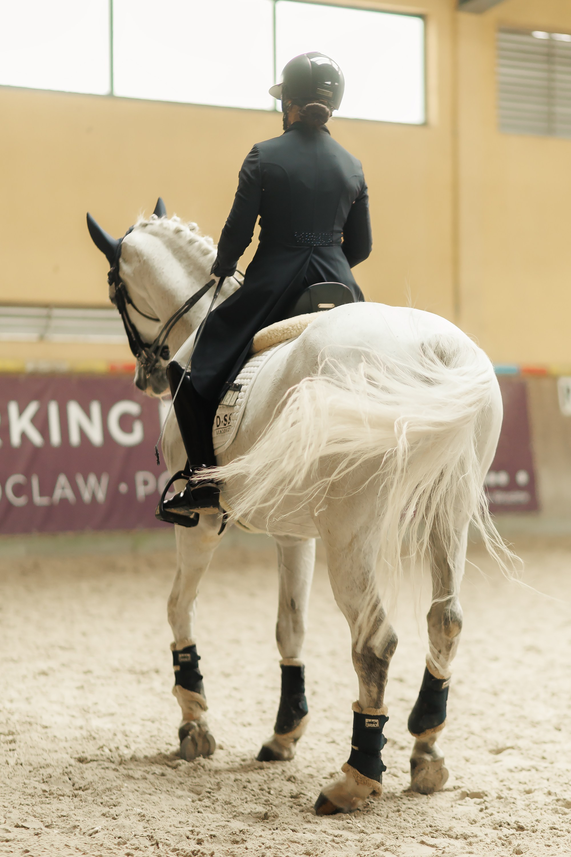 Partynice dressage \ feb'25. Kaja | fotograf we Wrocławiu | ludzie i psy