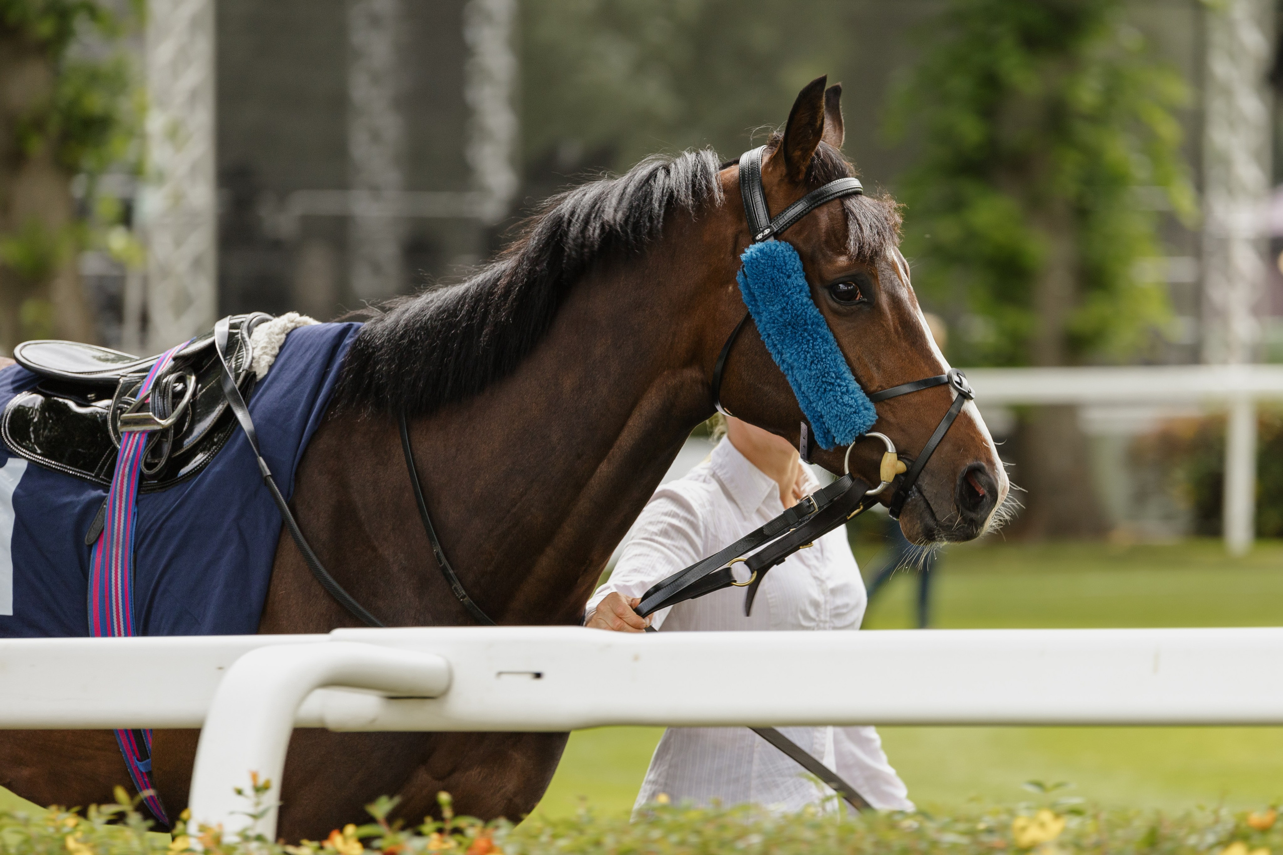 40th Birthday — Royal Windsor Racecourse. June, 2023. Timeless Wedding & Event Photography from London to the world