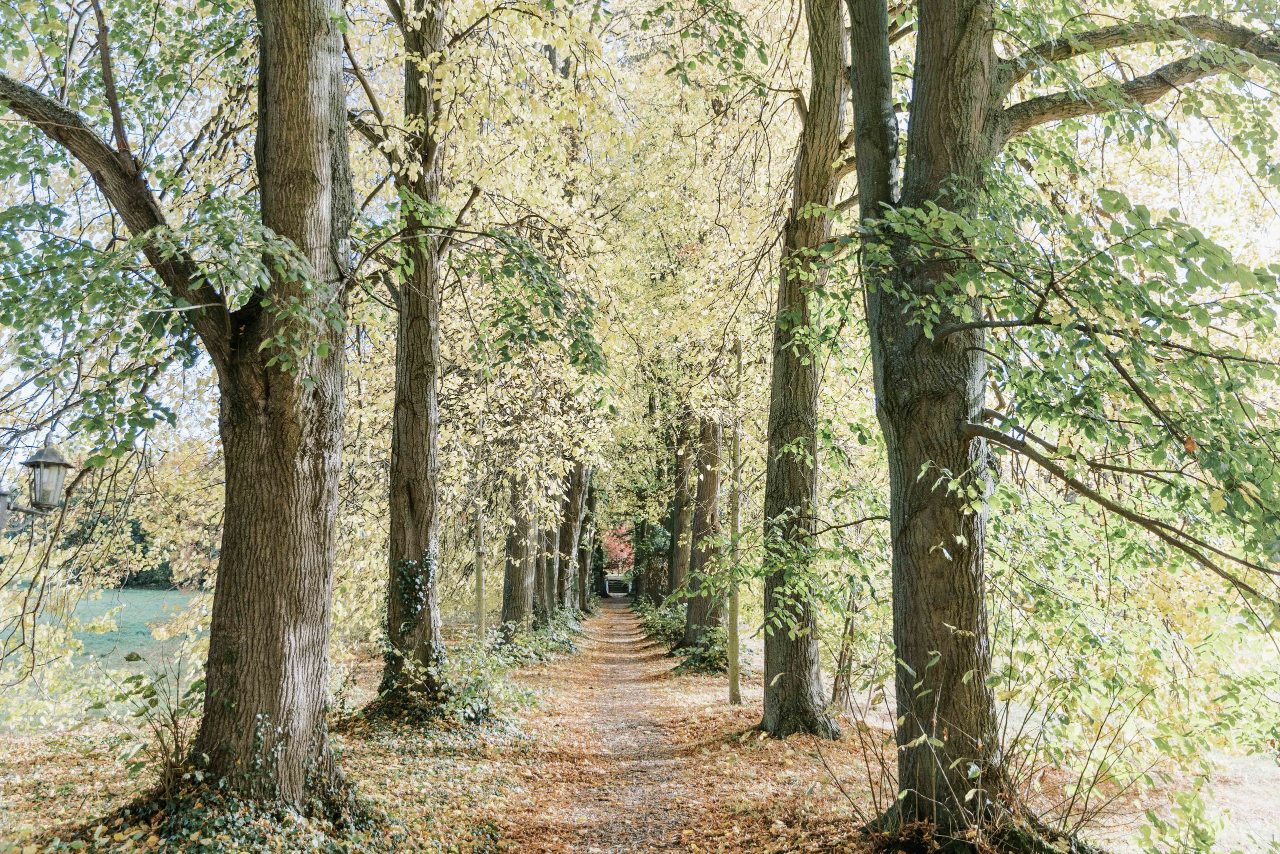Schloss von Hammerstein Hochzeit