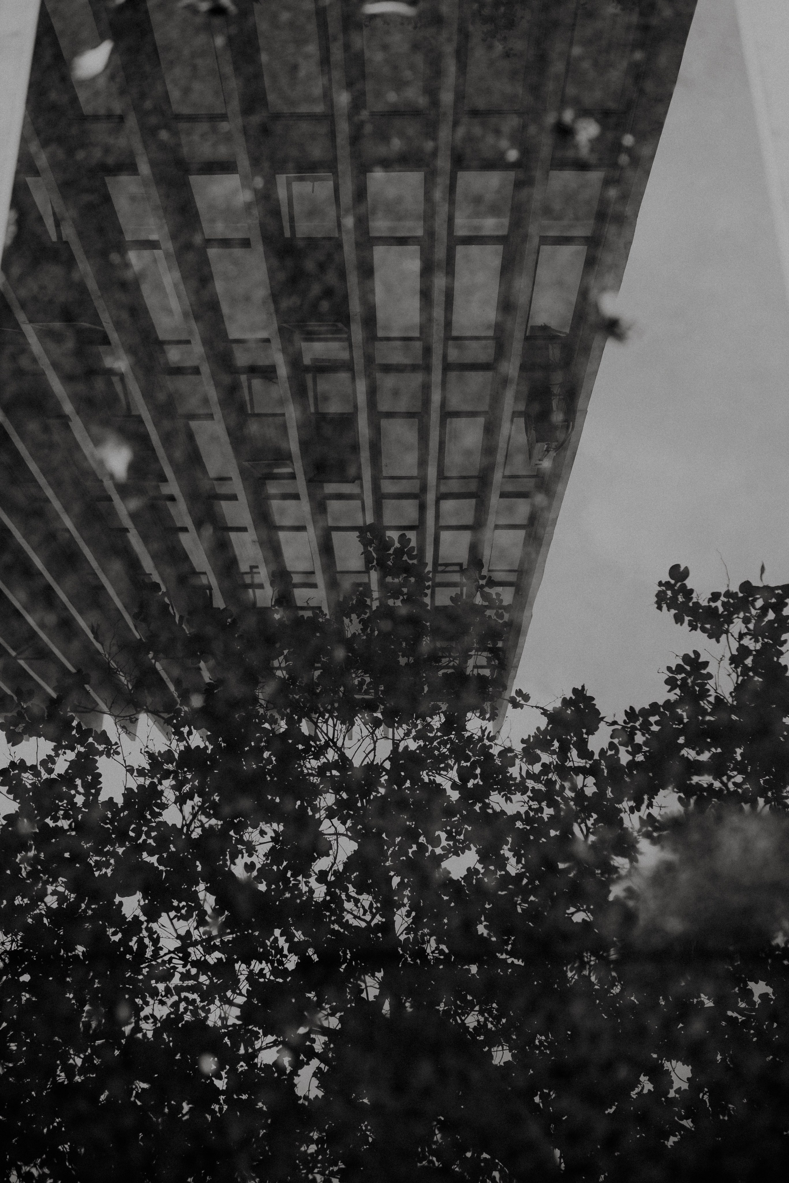 Hadassa e Rômulo. Fabio Barth | Foto e Filme de casamento