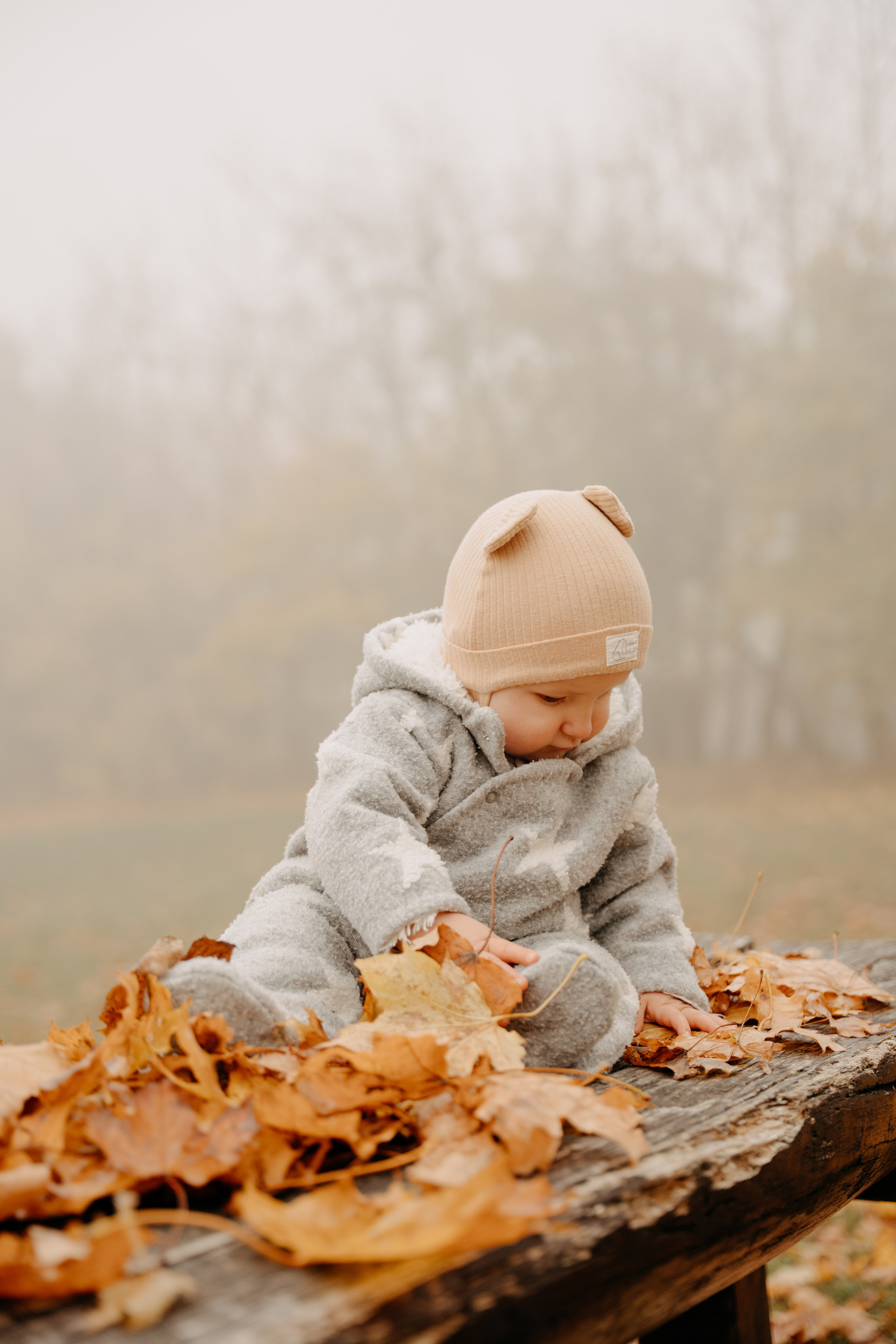 Bendegúz a ködös Normafán. Csilla visuals