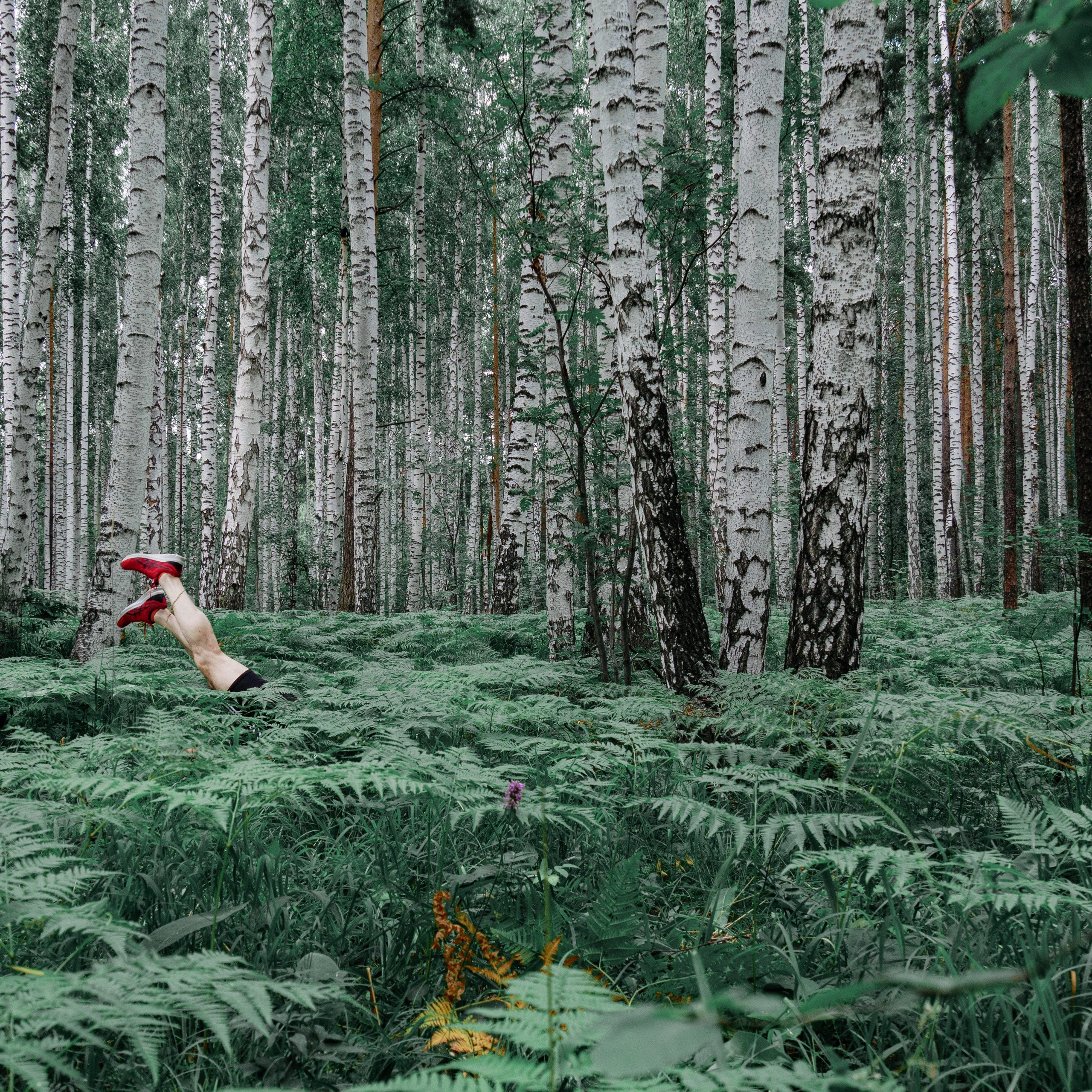 Biatlon. Worldwide photographer VOINOV