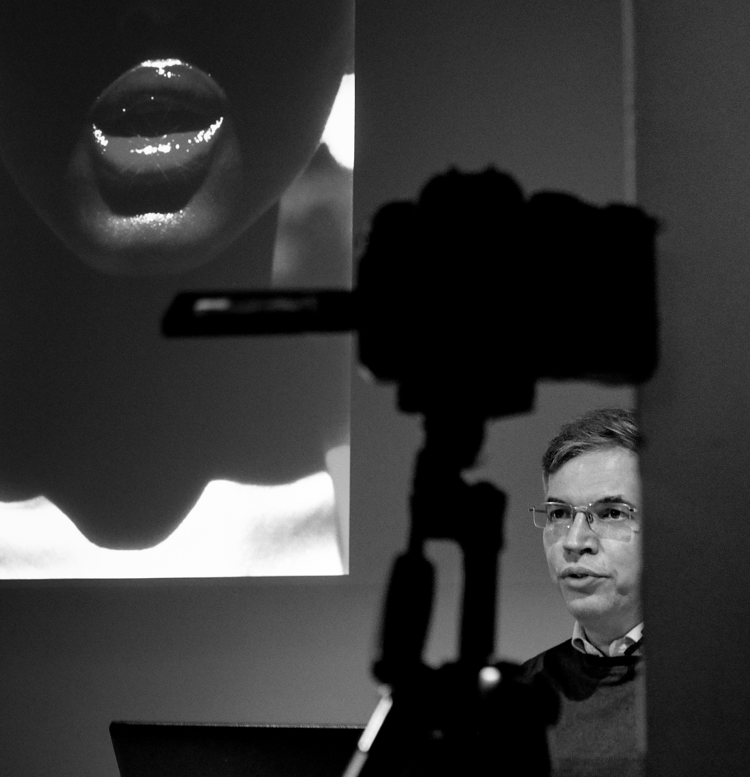 SPEACTURES |Artyom. Worldwide photographer VOINOV