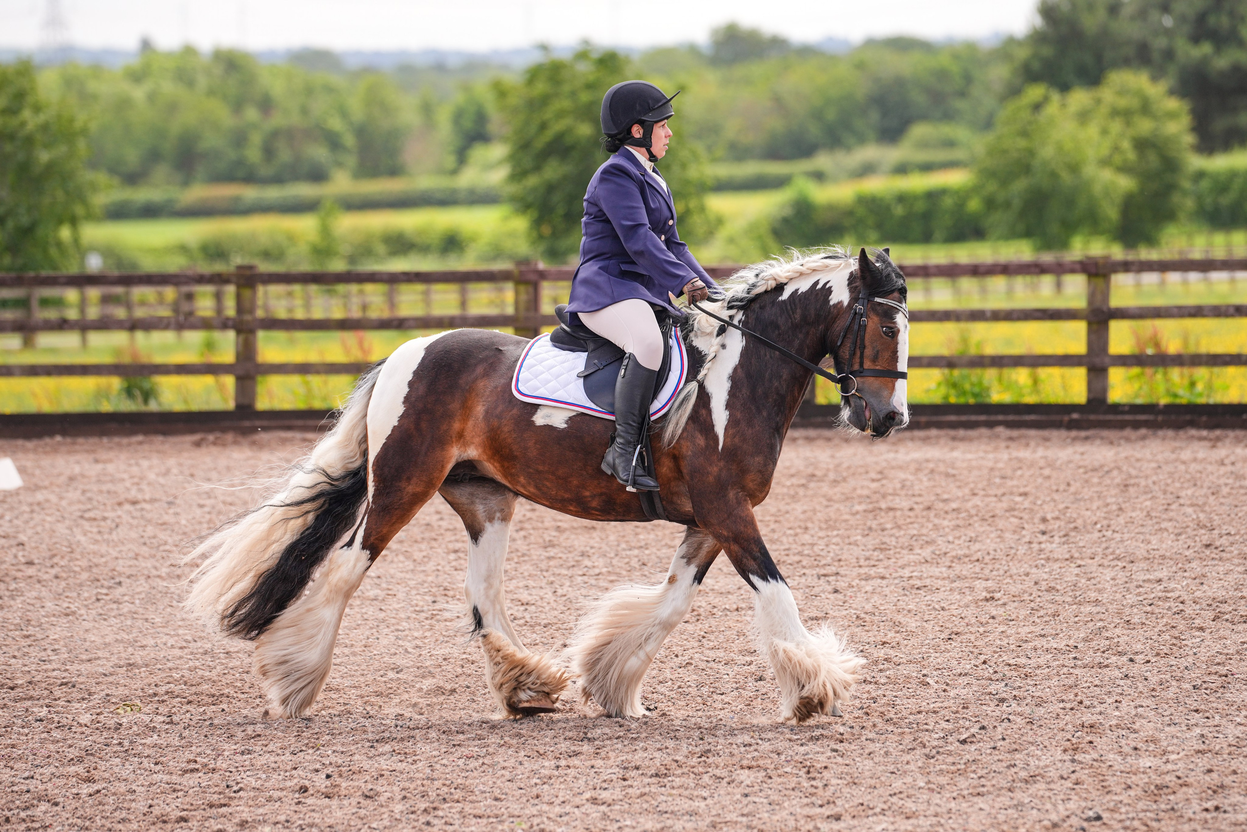 Dressage. Leicestershire Equine Photography by El | Authentic Equine Portraits & Events