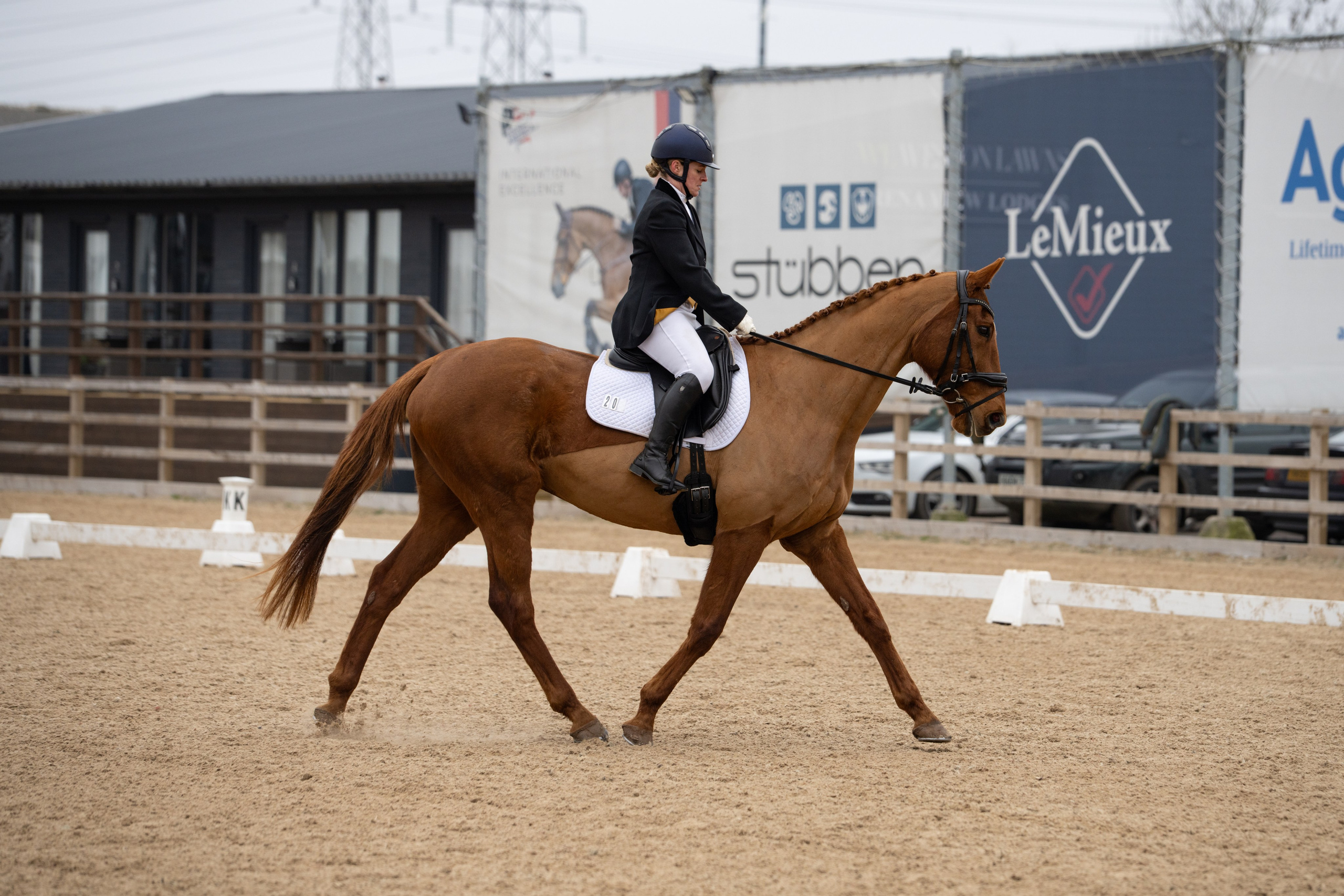 Dressage. Leicestershire Equine Photography by El | Authentic Equine Portraits & Events