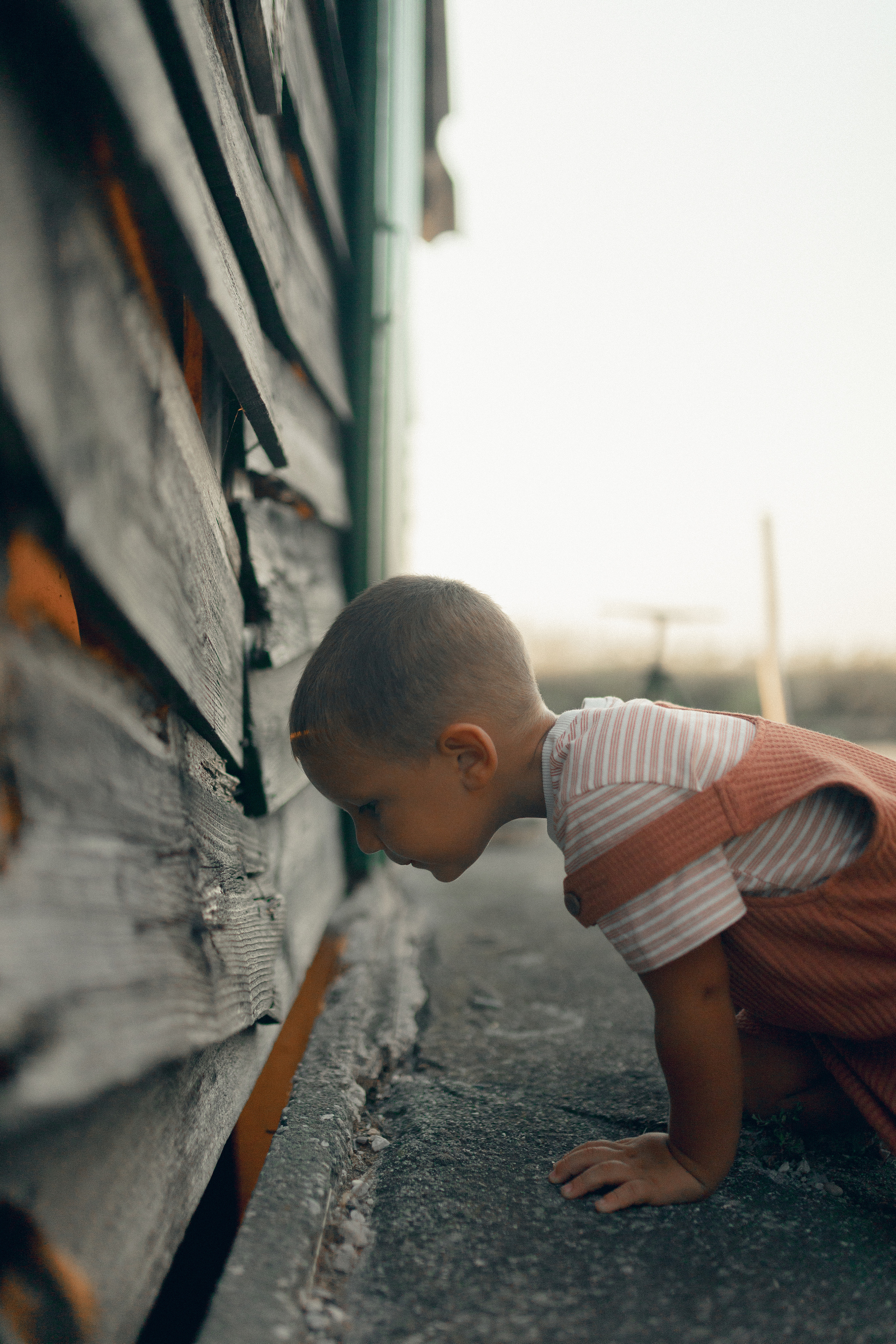 Lio Piccolo. Fotografo a Venezia
