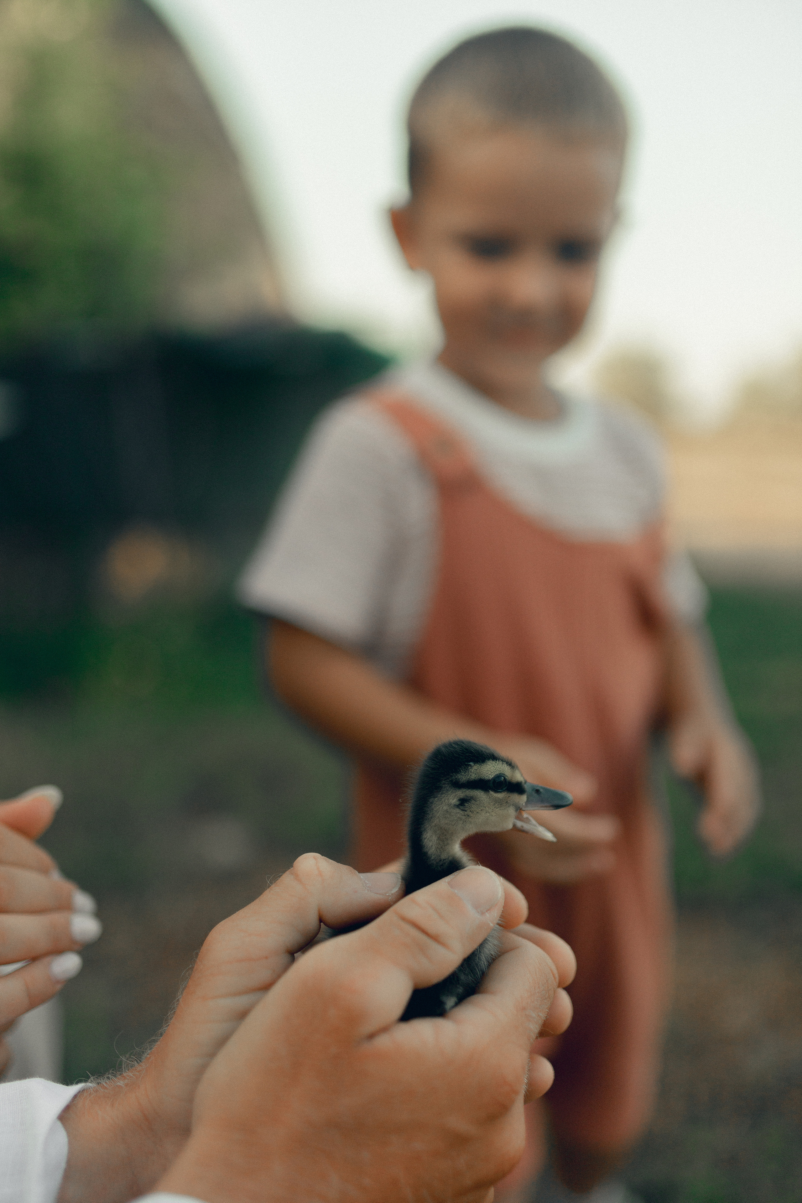 Lio Piccolo. Fotografo a Venezia