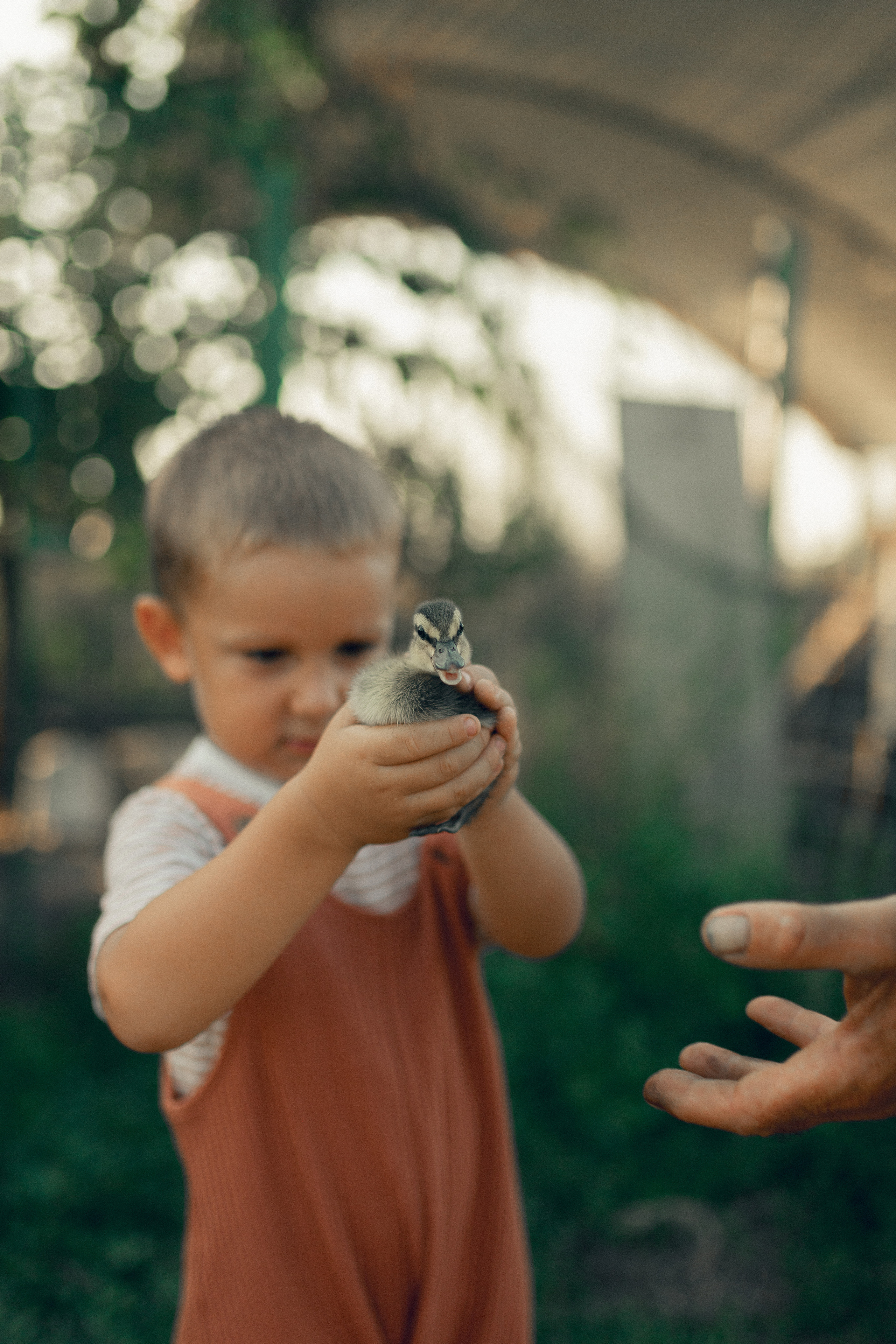 Lio Piccolo. Fotografo a Venezia